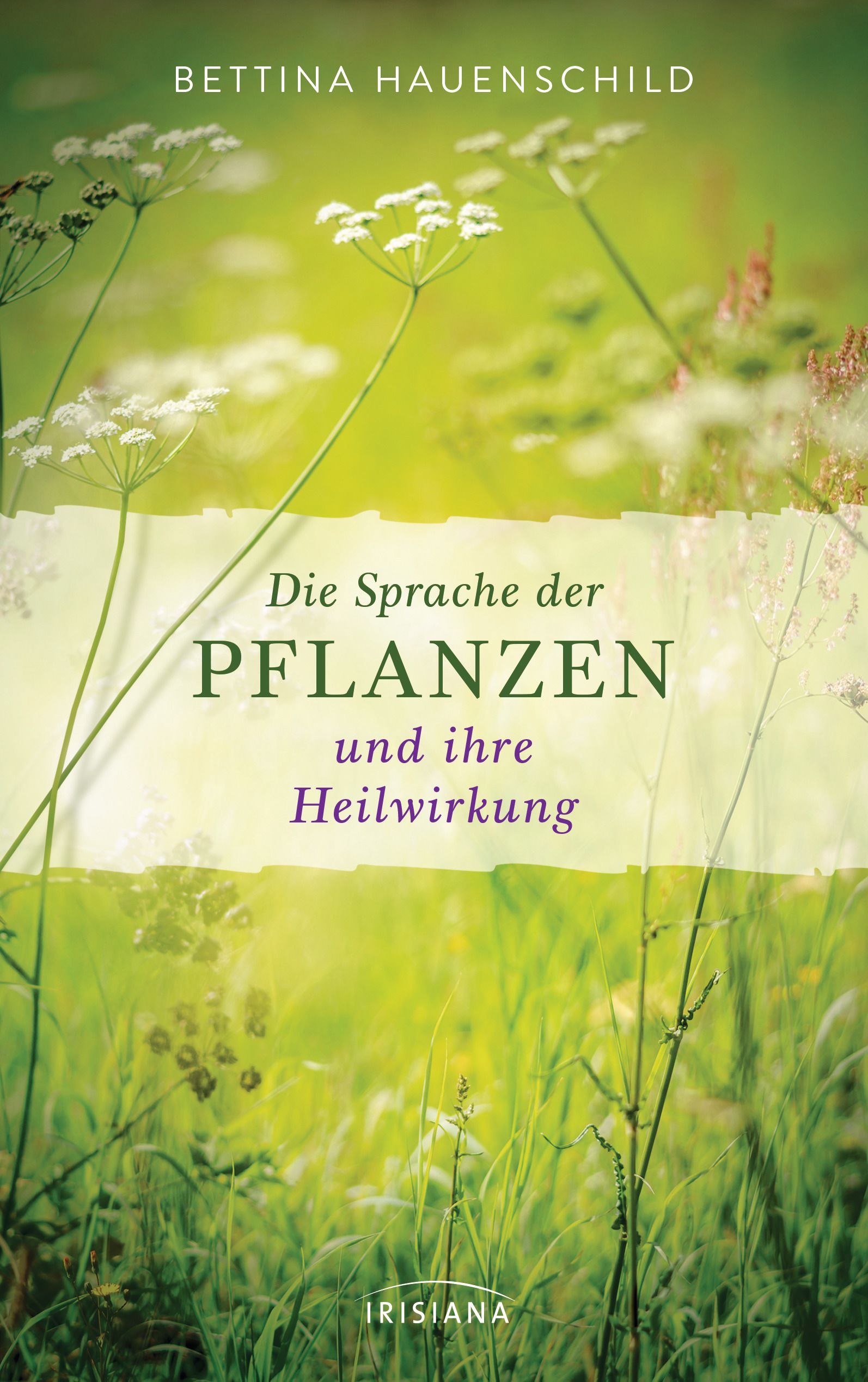 Buchcover mit Titel: Die Sprache der Pflanzen und ihre Heilwirkung. Autorin: Bettina Hauenschild. Hintergrund: grüne Wiese mit Pflanzen.