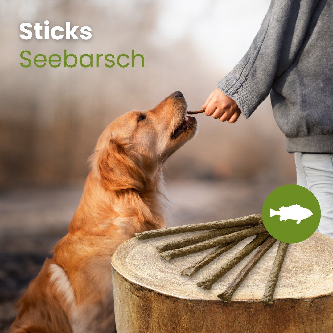 Seelachs-Sticks für Hunde, 12-18 cm lang, 4-6 g schwer, leicht riechend, mittelfett, mittelfest.