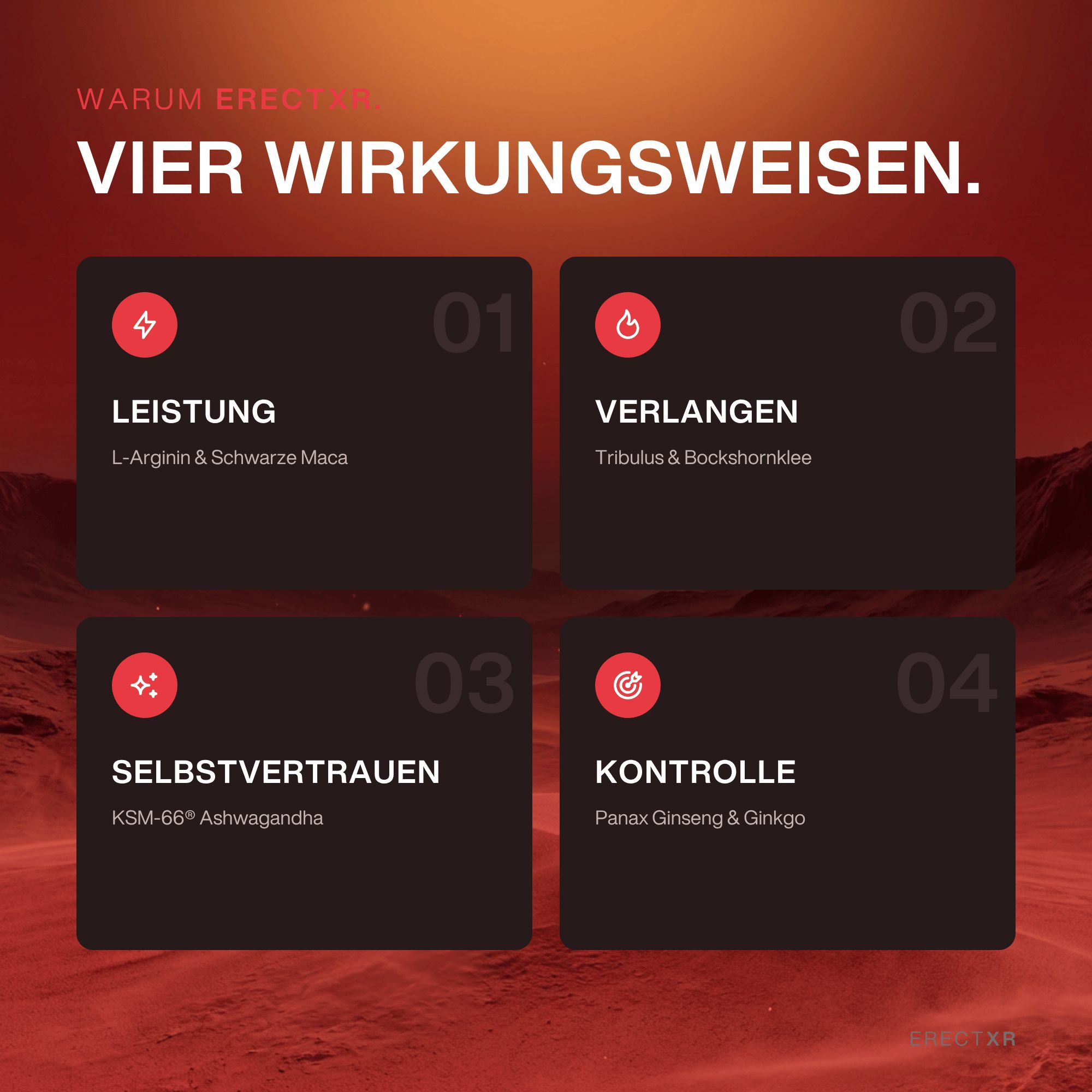 Vier schwarze Karten mit Icons und Texten zu Wirkungsweisen: Leistung, Verlangen, Selbstvertrauen, Kontrolle.