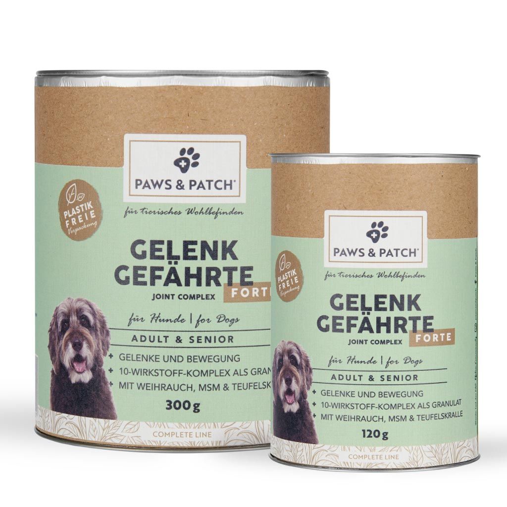 Zwei Dosen mit Etikett. Aufschrift: PAWS & PATCH GELENK GEFÄHRTE FORTE für Hunde Adult & Senior. 300g und 120g.