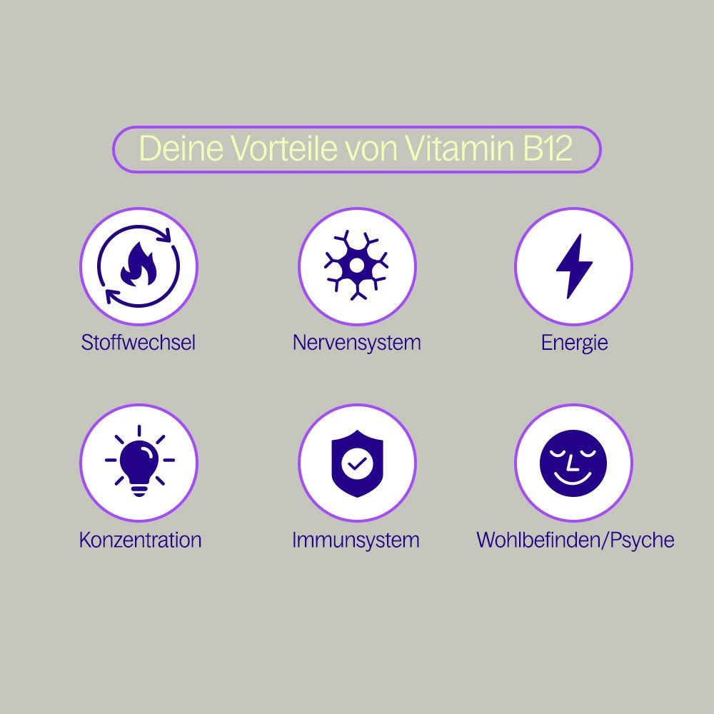 Kreisförmige Symbole mit Text: Stoffwechsel, Nervensystem, Energie, Konzentration, Immunsystem, Wohlbefinden/Psyche.