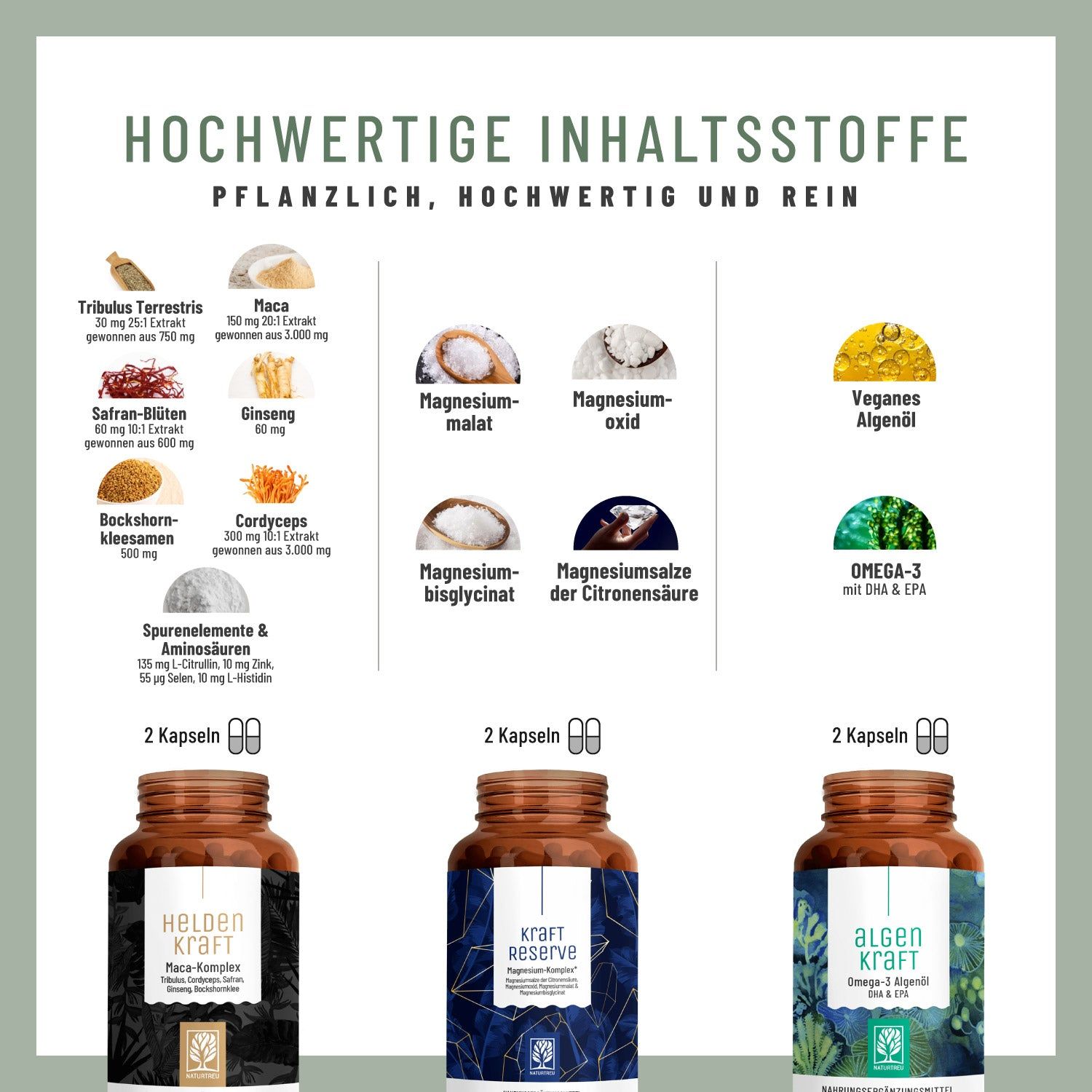 Infografik mit Inhaltsstoffen. Drei Pillendosen mit den Aufschriften "Heldenkraft", "Kraftreserve" und "Algenkraft" sind abgebildet.