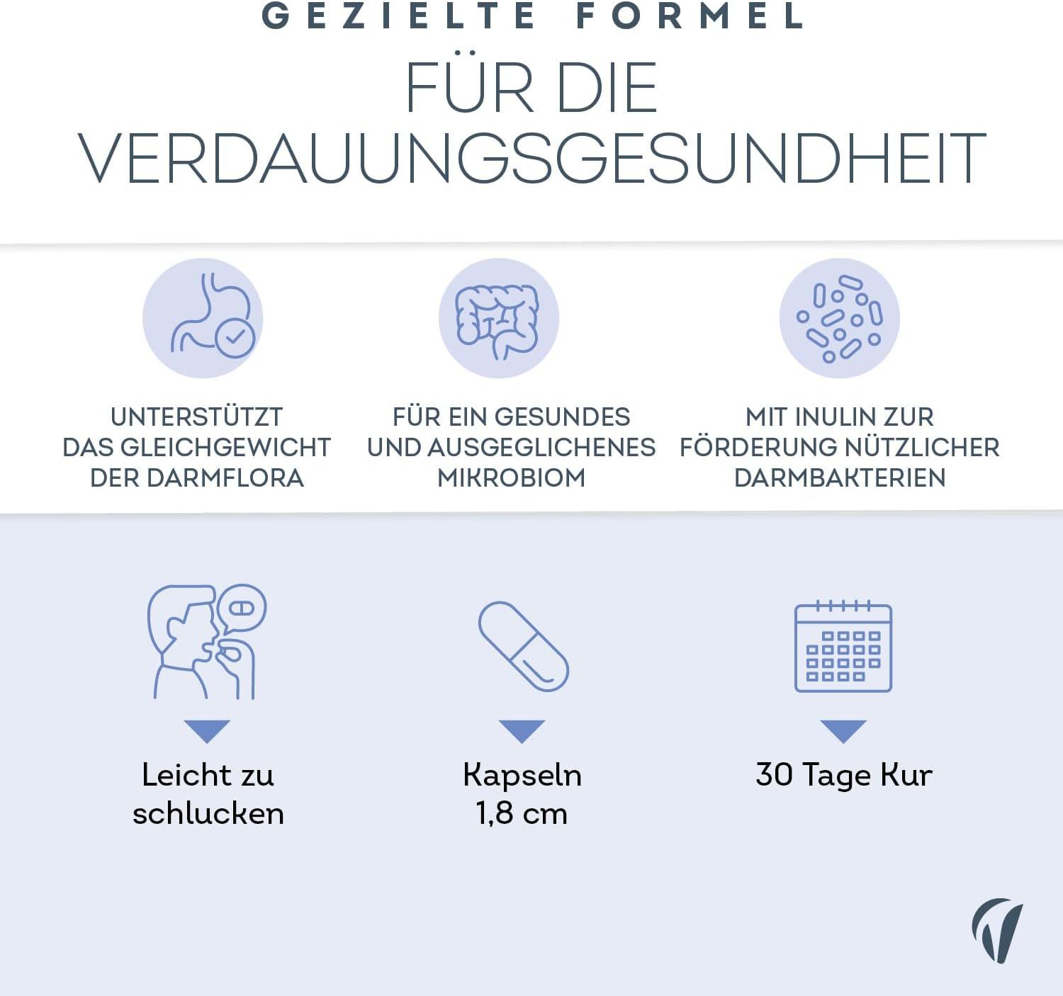Grafik mit Symbolen und Text. "GEZIELTE FORMEL FÜR DIE VERDAUUNGSGESUNDHEIT". Kapsel-Symbol, Text: "Kapseln 1,8 cm".