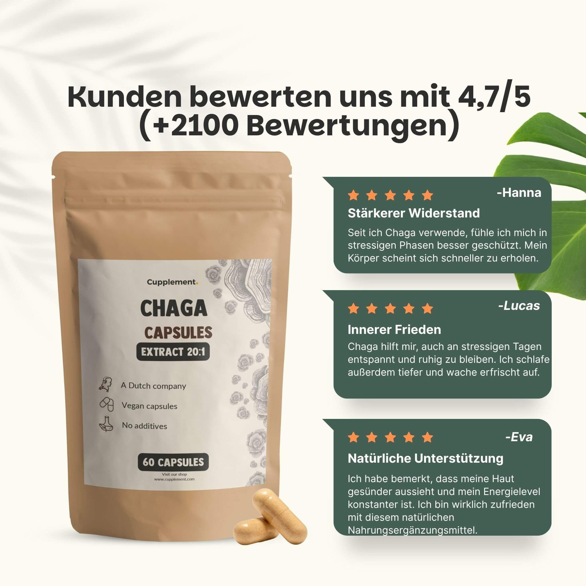 Braune Beutelverpackung mit Produktetikett. Text: Chaga Capsules, 60 Kapseln. 2 Kapseln daneben. Kundenbewertungen.