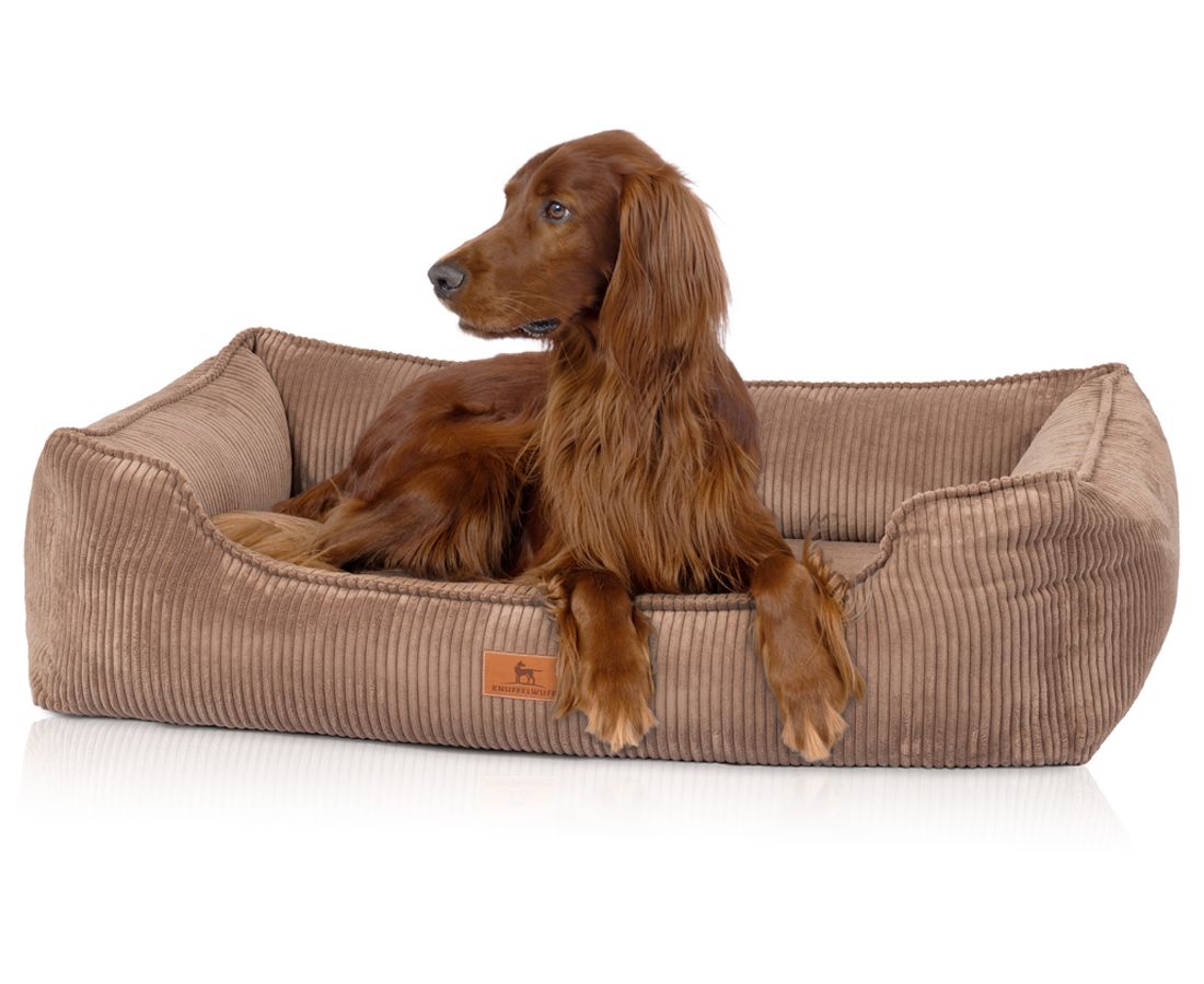 Hundebett, braun, Cord-Optik. Ein rothaariger Hund liegt entspannt darin. Label sichtbar.