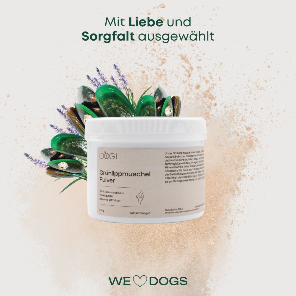 DOG1 Grünlippmuschelpulver Vollfett für Hunde
