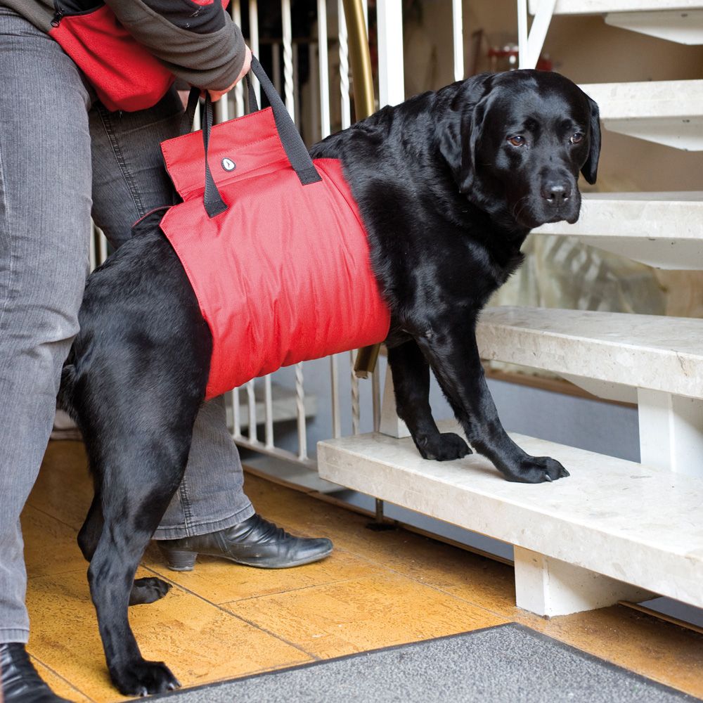 Hunde Tragehilfe "Helping Harness" - Unterstützung beim Treppensteigen - Wanderungen