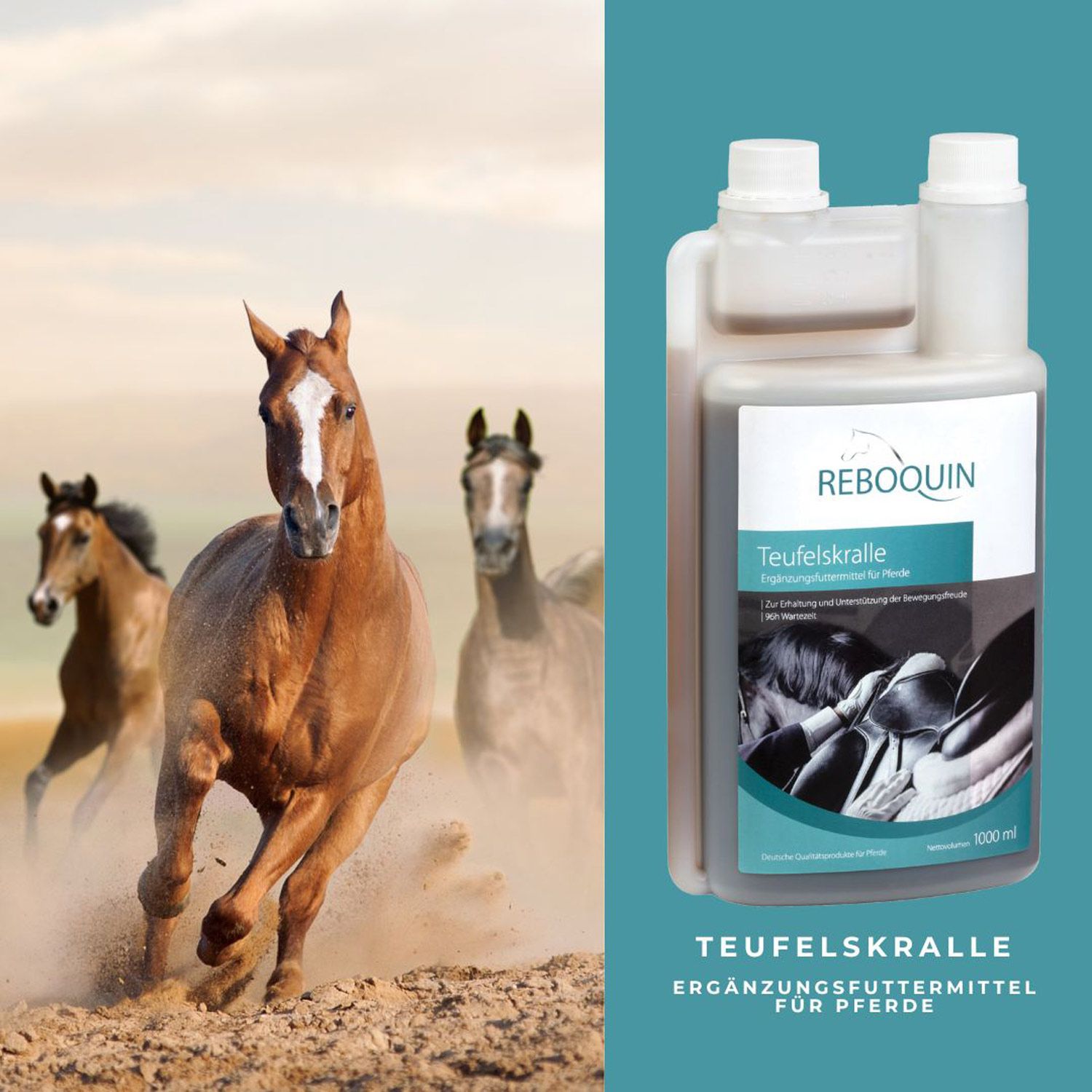 reboVet ReboQuin Teufelskralle