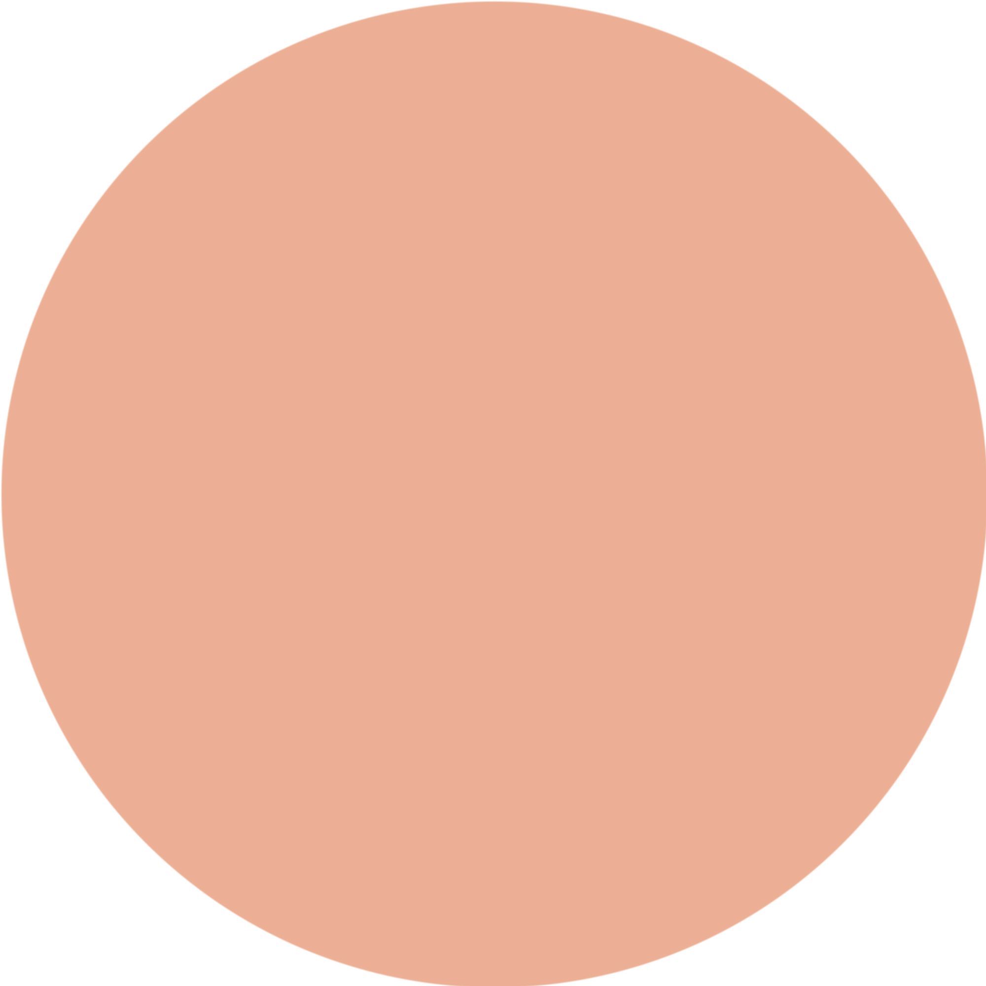 Un cerchio di colore beige chiaro. Il cerchio è su sfondo bianco.