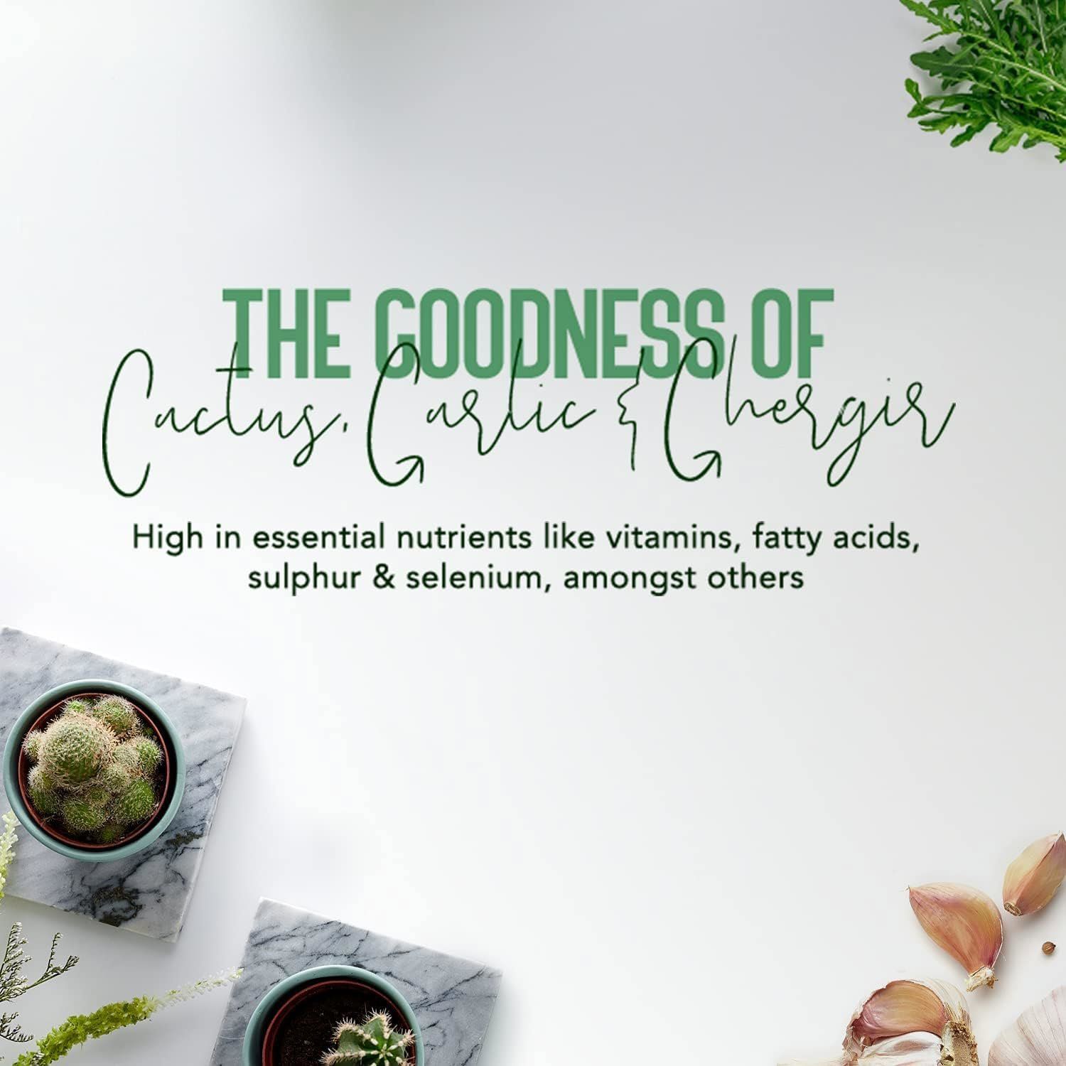 Text: The Goodness of Cactus, Garlic & Ghergir. Enthält Vitamine, Fettsäuren, Schwefel & Selen.