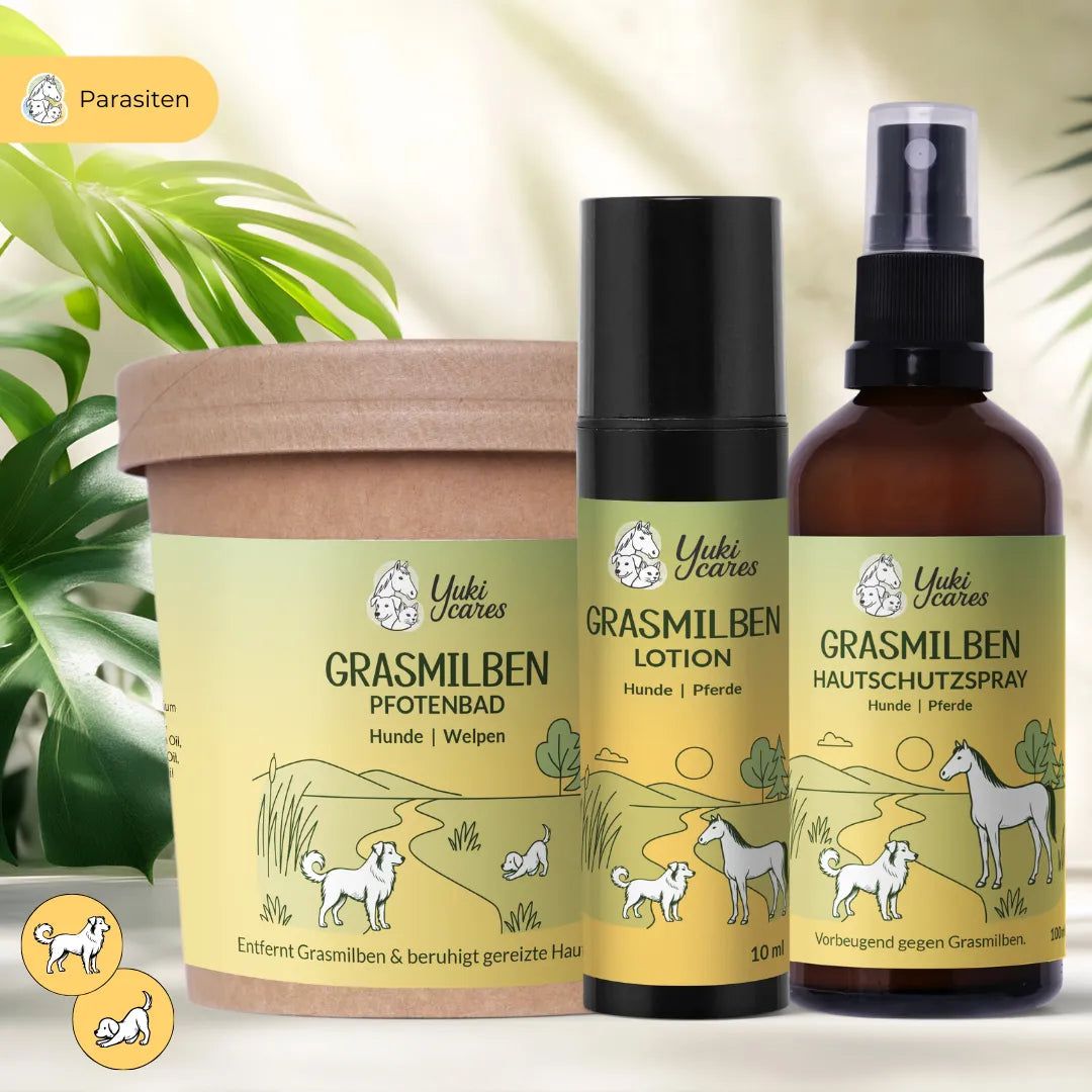 Drei Produkte: Pfotenbad, Lotion und Hautschutzspray. Etiketten mit Text und Illustrationen. Grün-gelbes Design, Hunde- und Pferdeabbildungen.