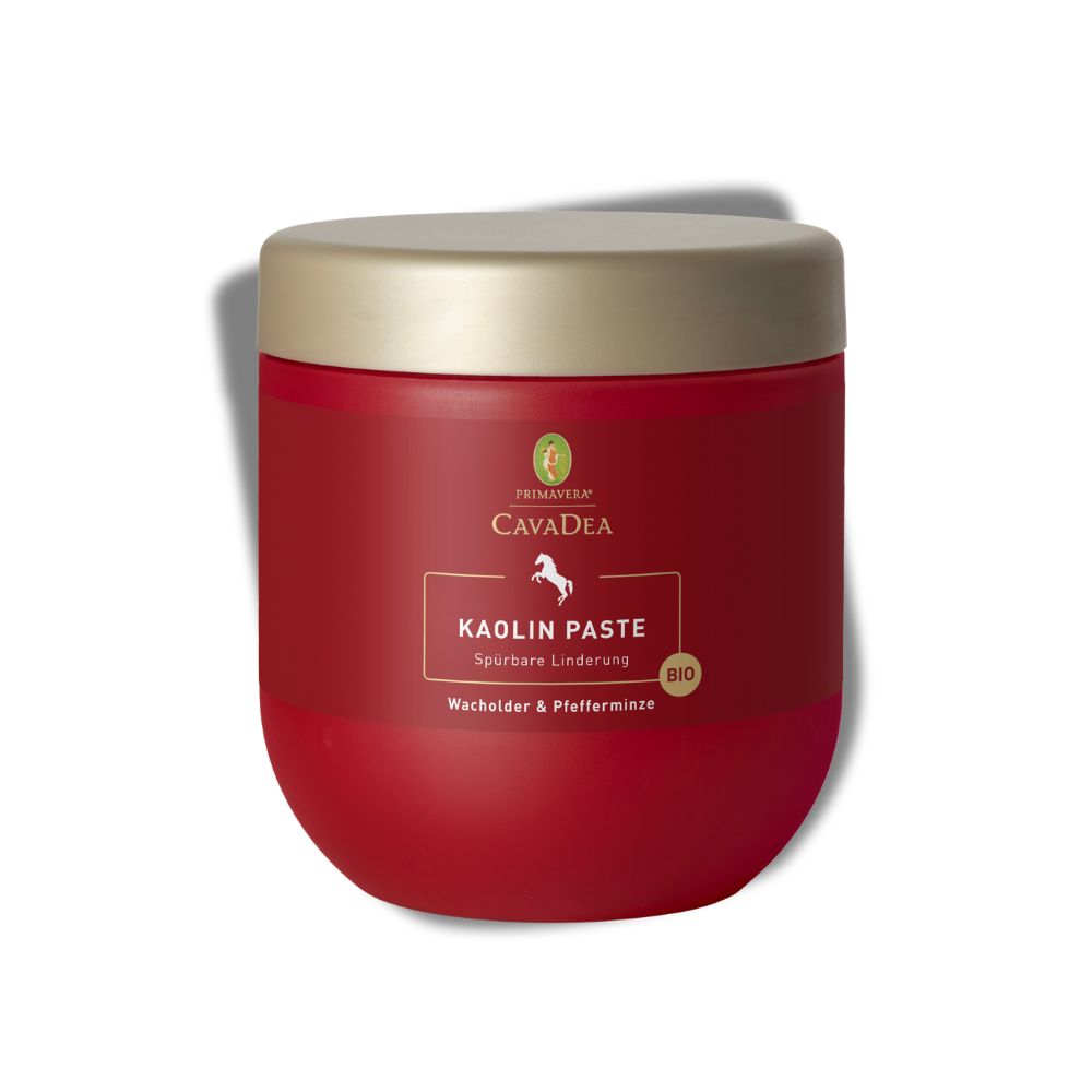 CavaDea Kaolin Paste für Pferde, bio 850 ml