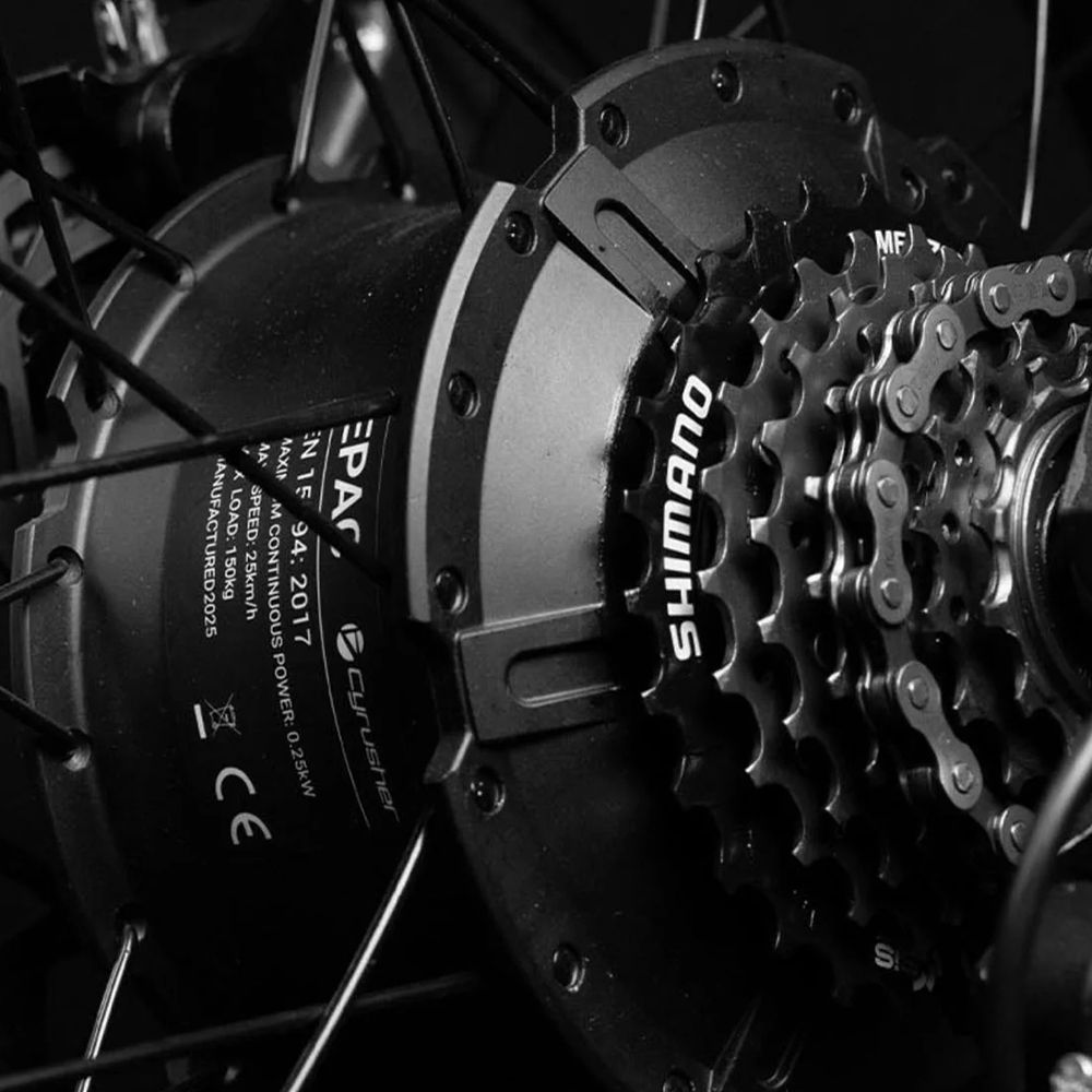 Nahaufnahme des Hinterrads eines E-Bikes. Shimano-Schaltung und Kettenrad sind sichtbar.