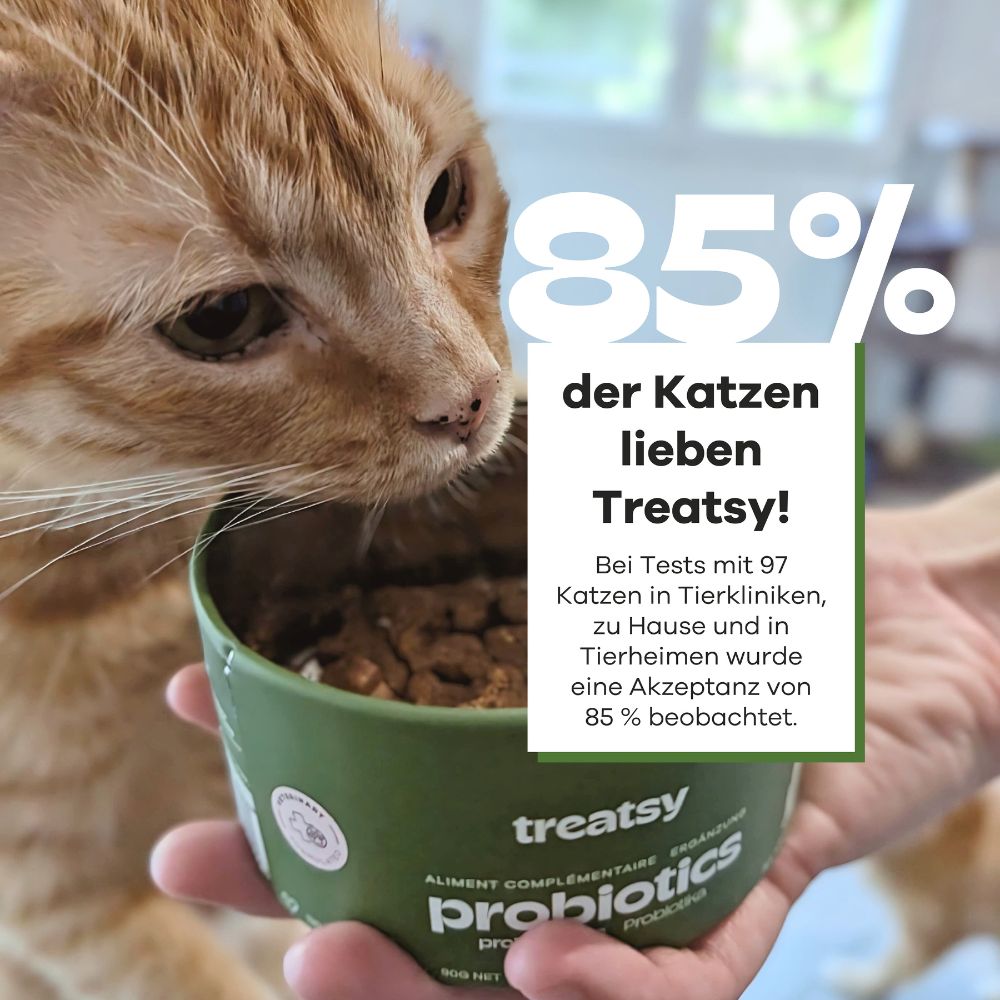 Katze hält eine Dose Treatsy Probiotika. 85% der Katzen lieben Treatsy!