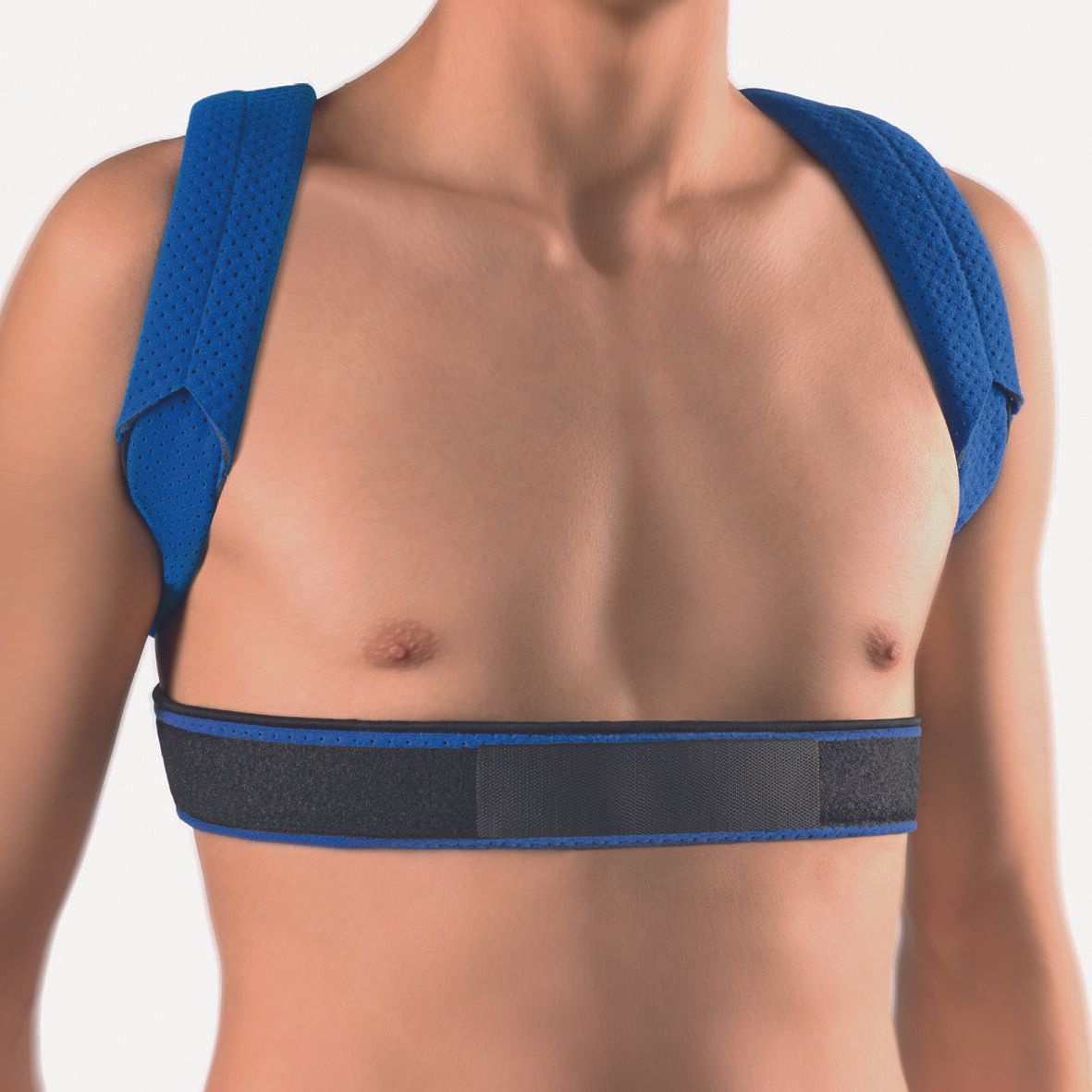 Blaue Schulterstütze. Schwarzes Brustband. Einfaches Design, ohne weitere Details.