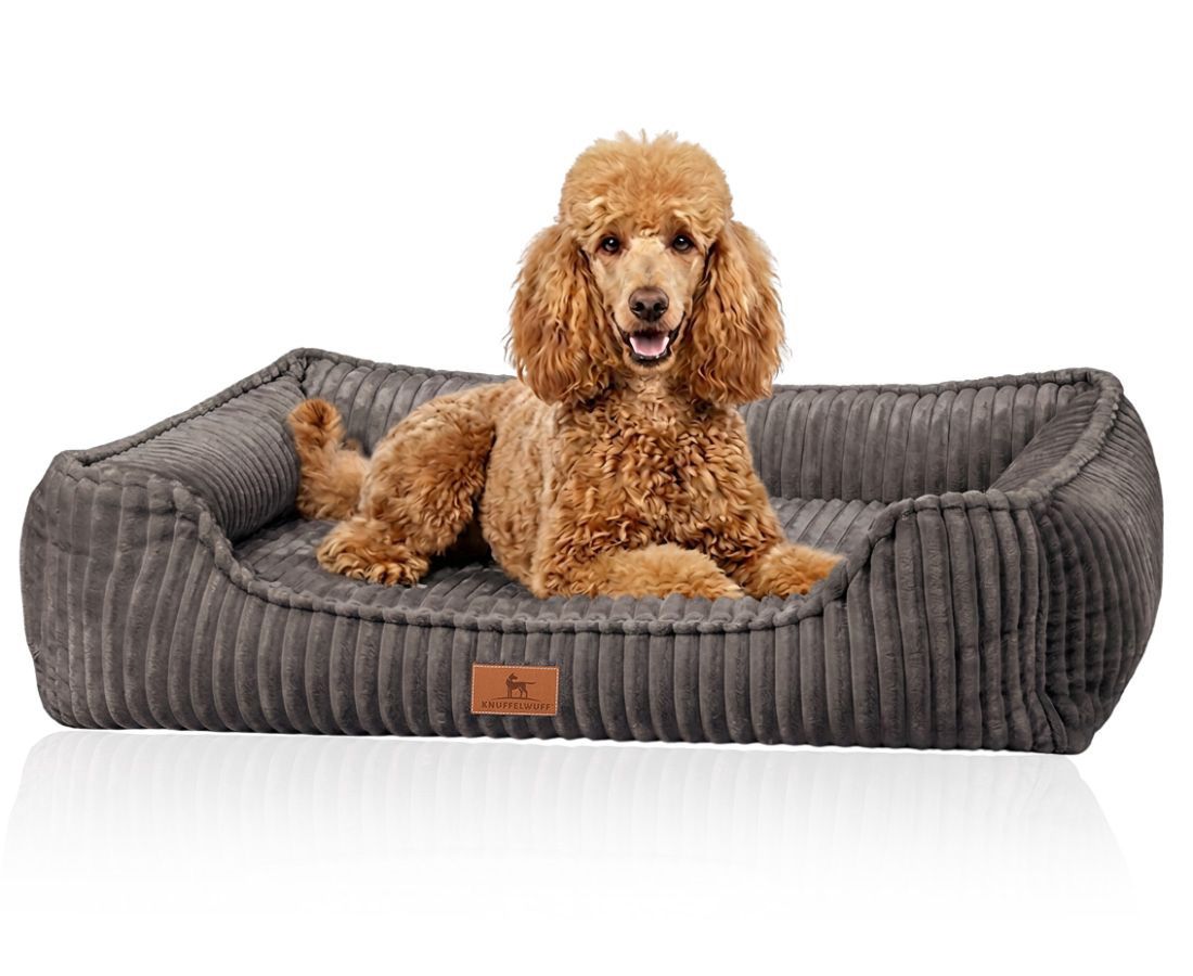 Graues orthopädisches Hundebett aus Cord mit erhöhtem Rand und braunem Logo-Patch.
