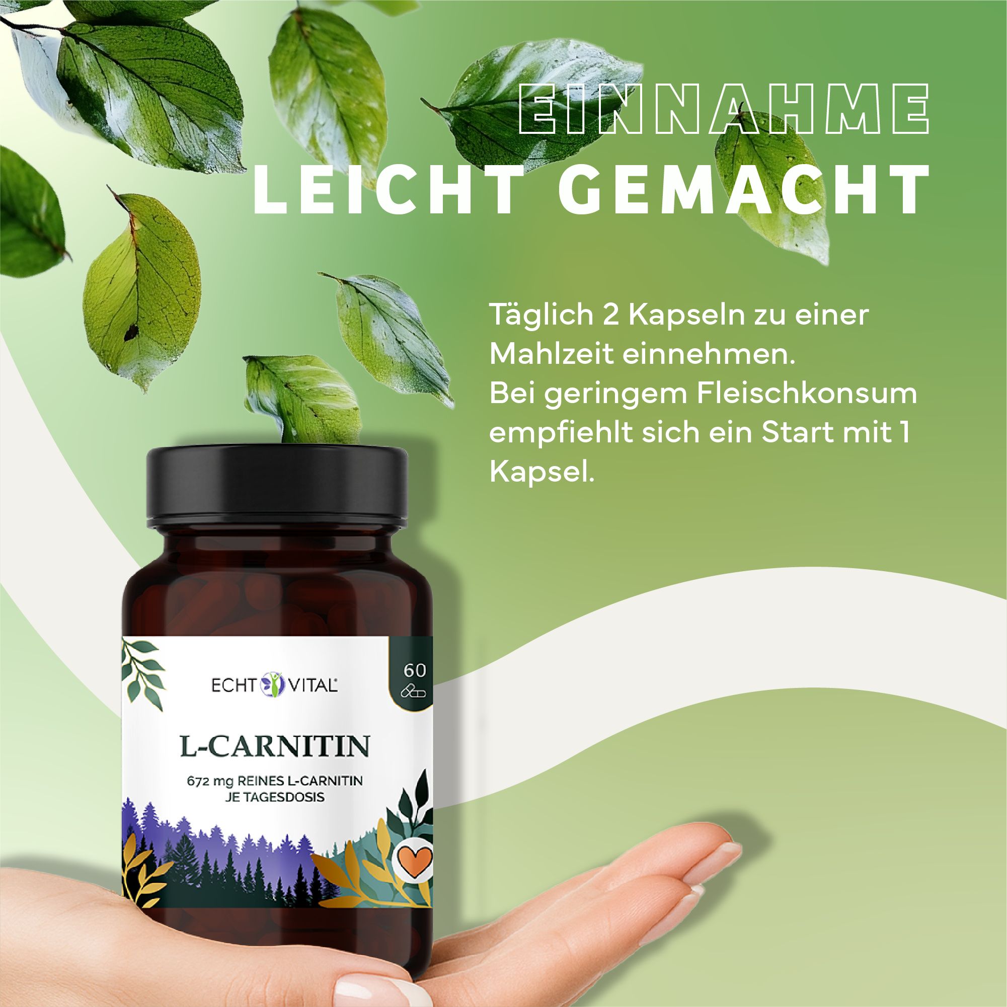 Braune Flasche mit L-Carnitin-Kapseln. Aufschrift: Echt Vital, L-Carnitin, 672 mg reines L-Carnitin. Hand hält Flasche. Text: Einnahme leicht gemacht. Täglich 2 Kapseln.