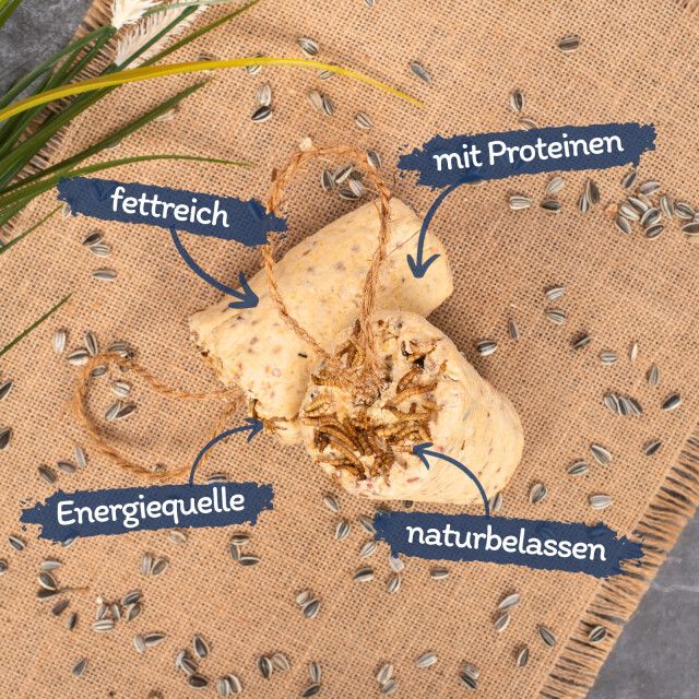 Zwei Körnerriegel mit Mehlwürmern auf Jutestoff. Beschriftungen: fettreich, Energiequelle, mit Proteinen, naturbelassen.