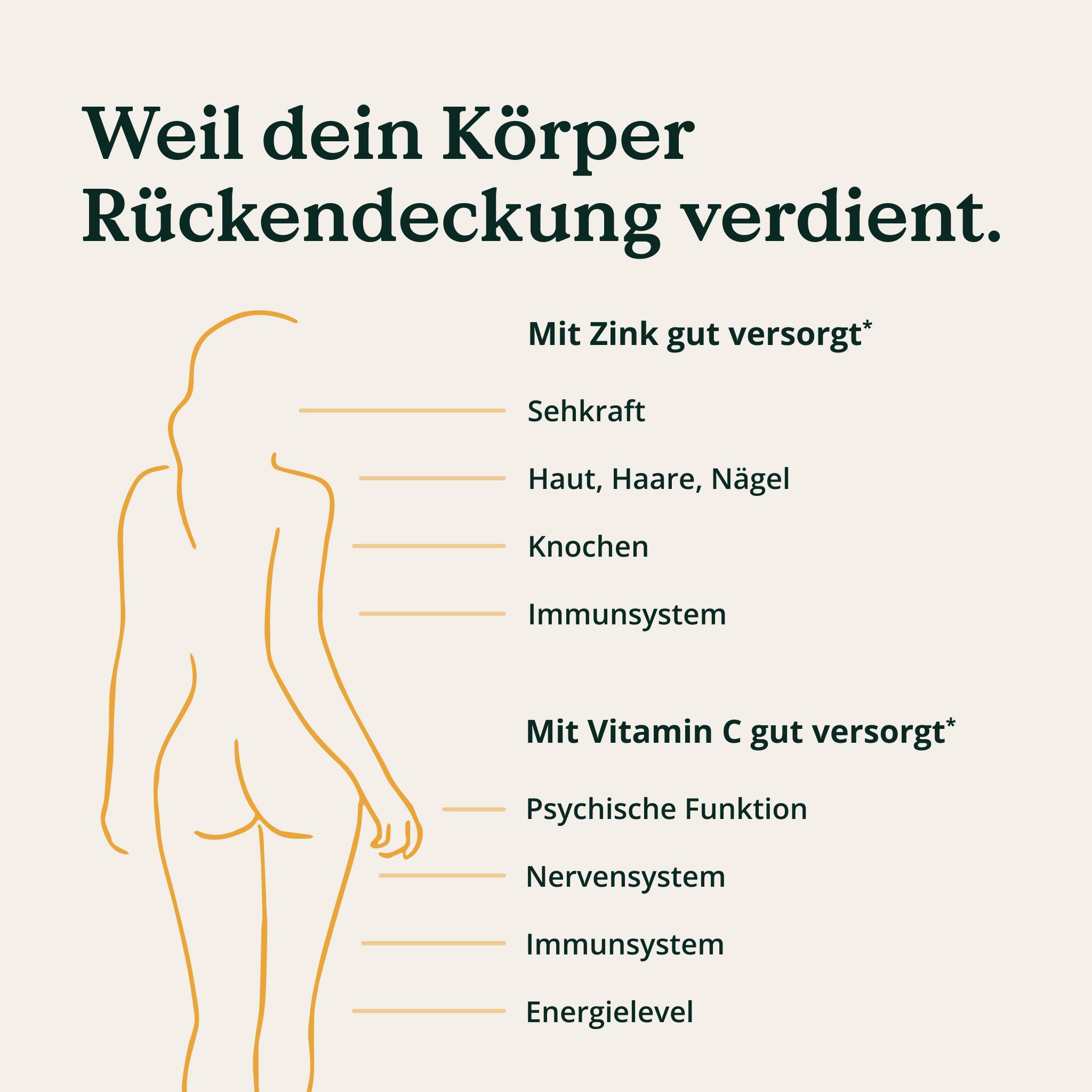 Schema einer weiblichen Silhouette mit Markierungen für Körperfunktionen, die durch Zink und Vitamin C unterstützt werden.