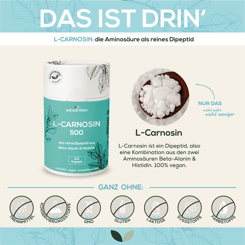 Werbebild mit Sanutrition L-Carnosin 500 Dose, L-Carnosin-Pulver und Informationen. Enthält keine Zusatzstoffe, vegan.