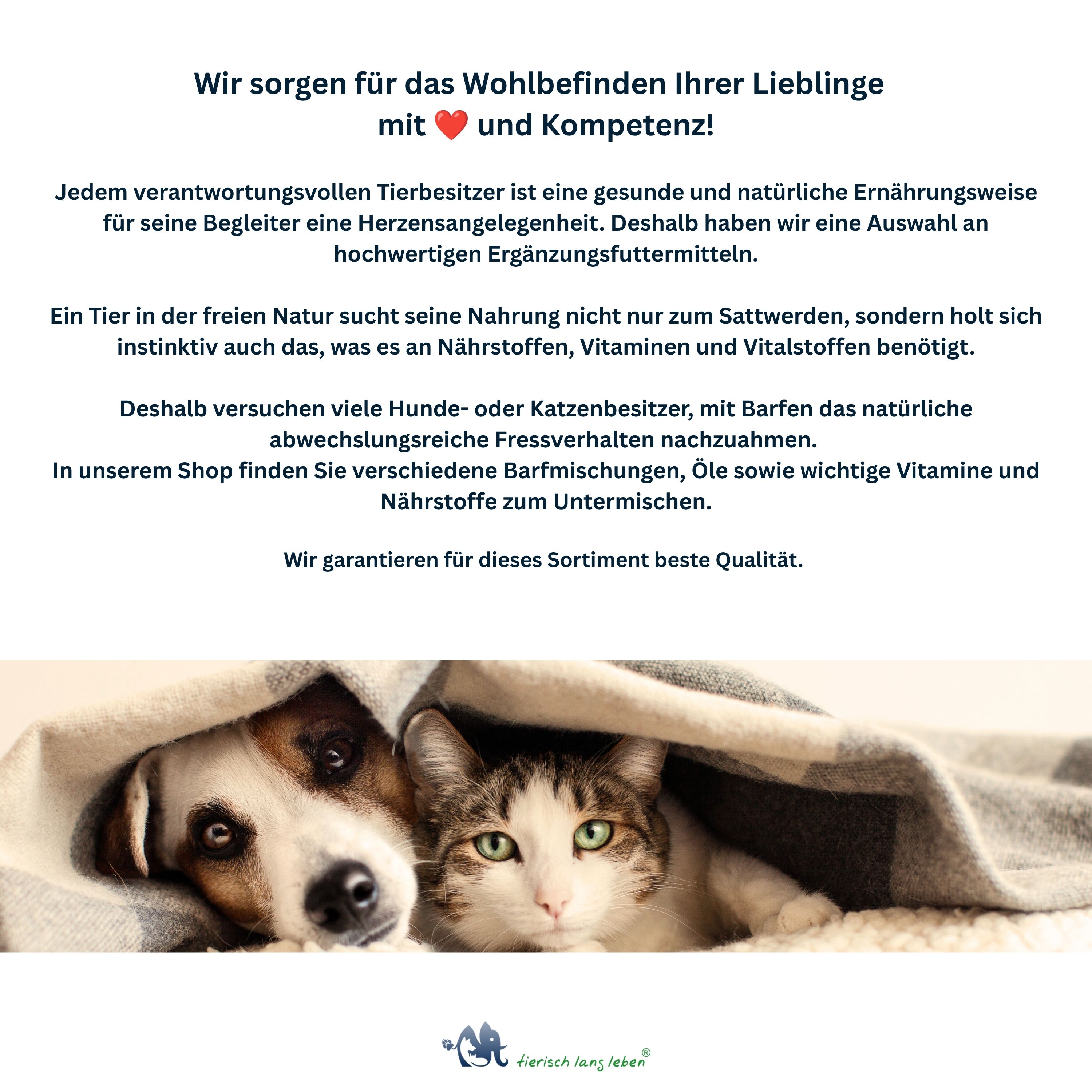 Hund und Katze kuscheln unter einer Decke. Text über gesunde Ernährung für Haustiere.
