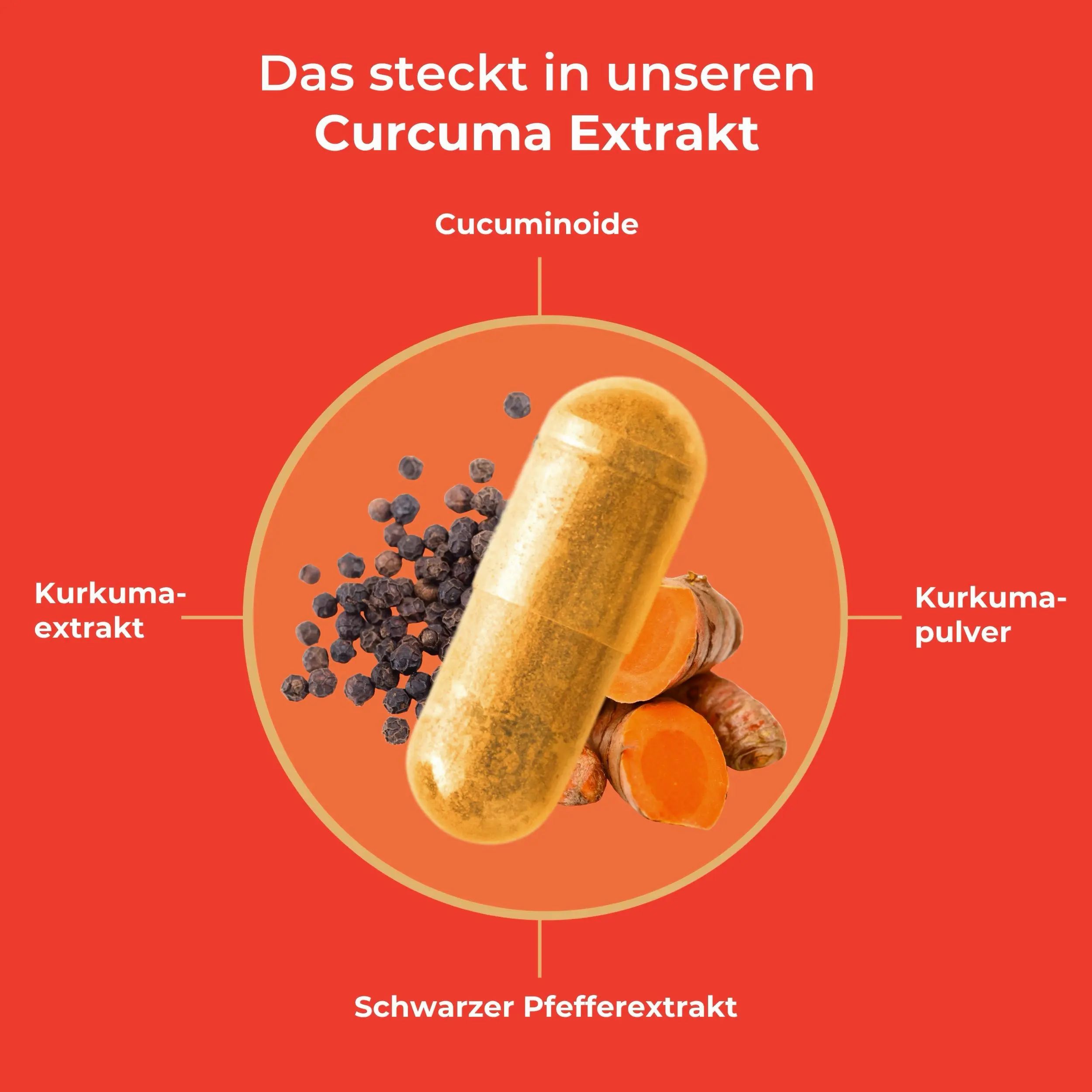 Flasche Viktilabs Curcuma Extrakt in einer Hand, mit Kapsel im Fokus.