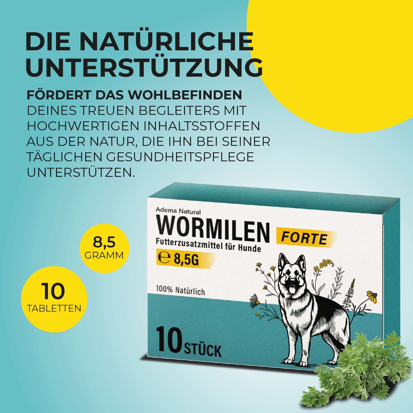Produktverpackung mit Text: Wurmmittel für Hunde, 10 Tabletten, 8,5g. Hintergrund mit gelben Kreisen und Text.