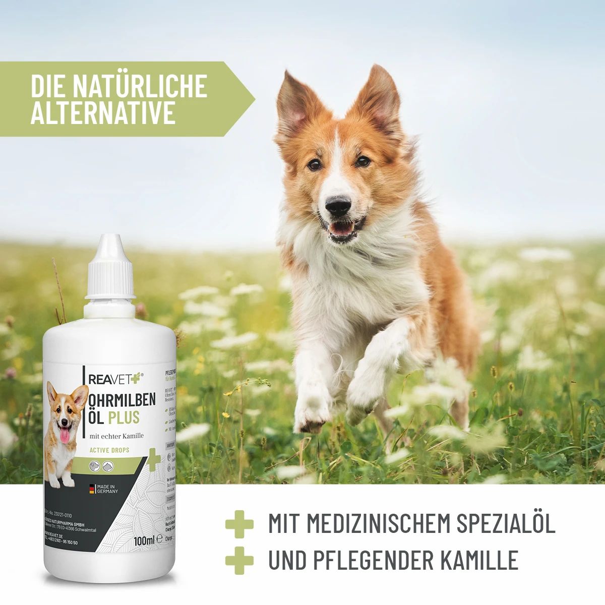 Weiße Flasche mit Dosieraufsatz. Aufschrift: Ohrmilben Öl Plus, ReaVET. Hund rennt durch Wiese. Text: Die natürliche Alternative.