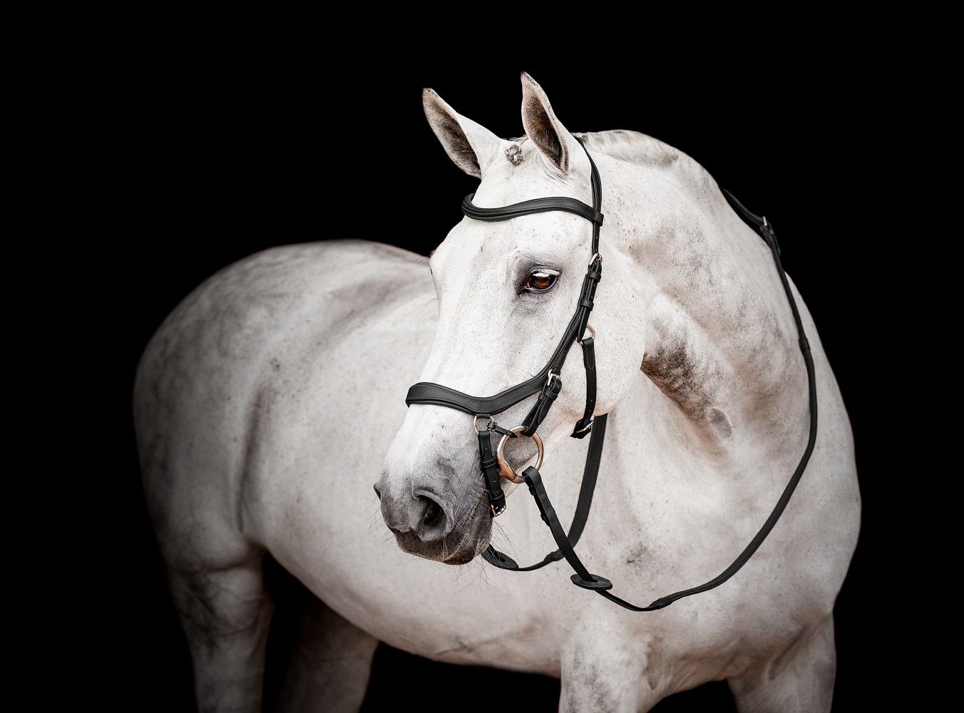 Horseware Micklem® 2 Competition Bridle