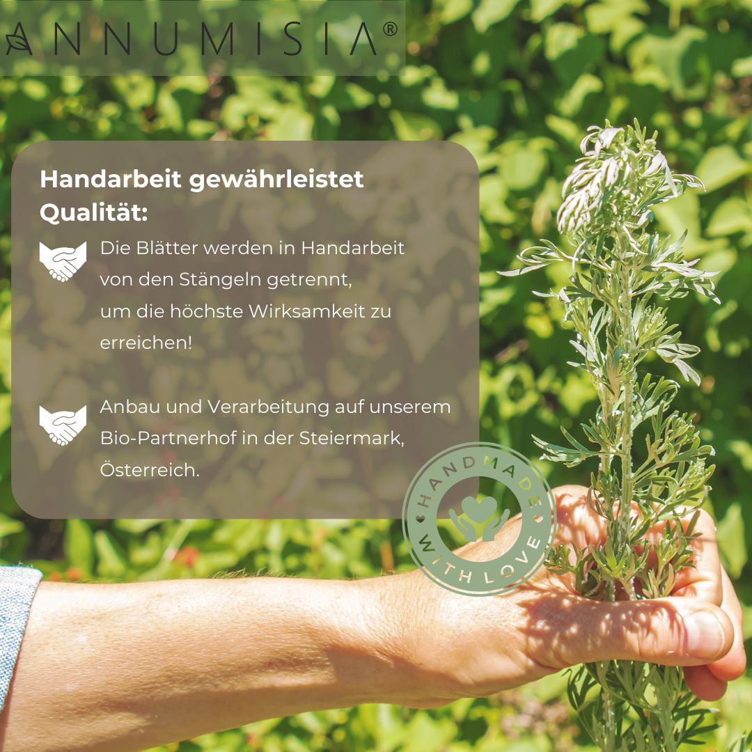 Nahaufnahme einer Hand, die Artemisia Annua-Pflanzen hält. Text: "Handarbeit gewährleistet Qualität: Die Blätter werden in Handarbeit von den Stängeln getrennt, um die höchste Wirksamkeit zu erreichen!"  Anbau und Verarbeitung auf Bio-Partnerhof in der Steiermark, Österreich.