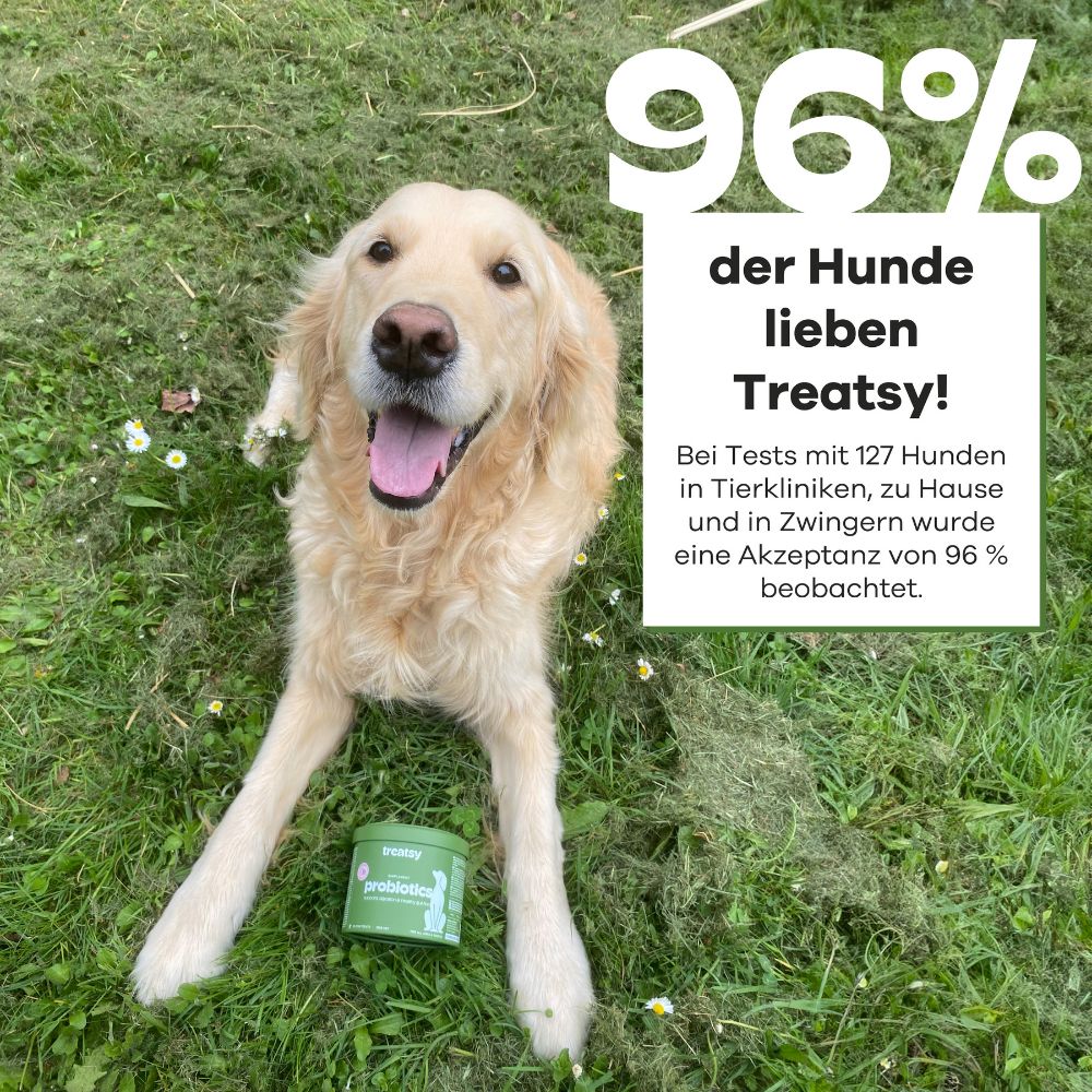 Goldener Retriever auf Gras. Text: 96% der Hunde lieben Treatsy! Dose im Hintergrund.