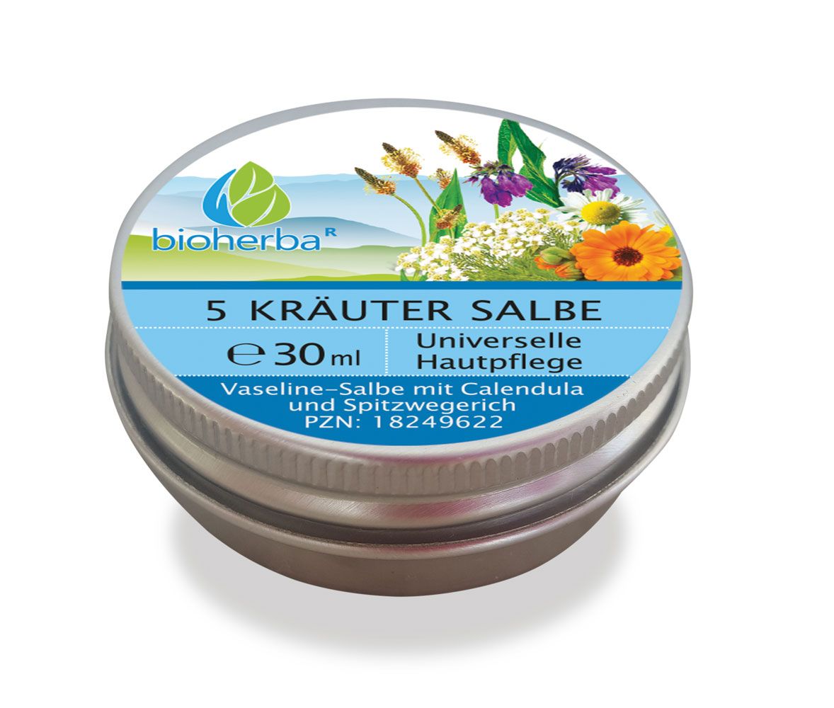 Runde Metall-Dose mit blauem Etikett. Aufschrift: 5 Kräuter Salbe, Universelle Hautpflege. Enthält 30ml.