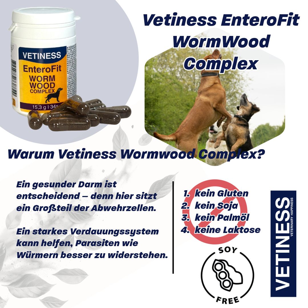 Weiße Dose mit Kapseln, daneben Kapseln. Text: Vetiness EnteroFit WormWood Complex. Warum Vetiness Wormwood Complex? Kein Gluten, Soja, Palmöl, Laktose.