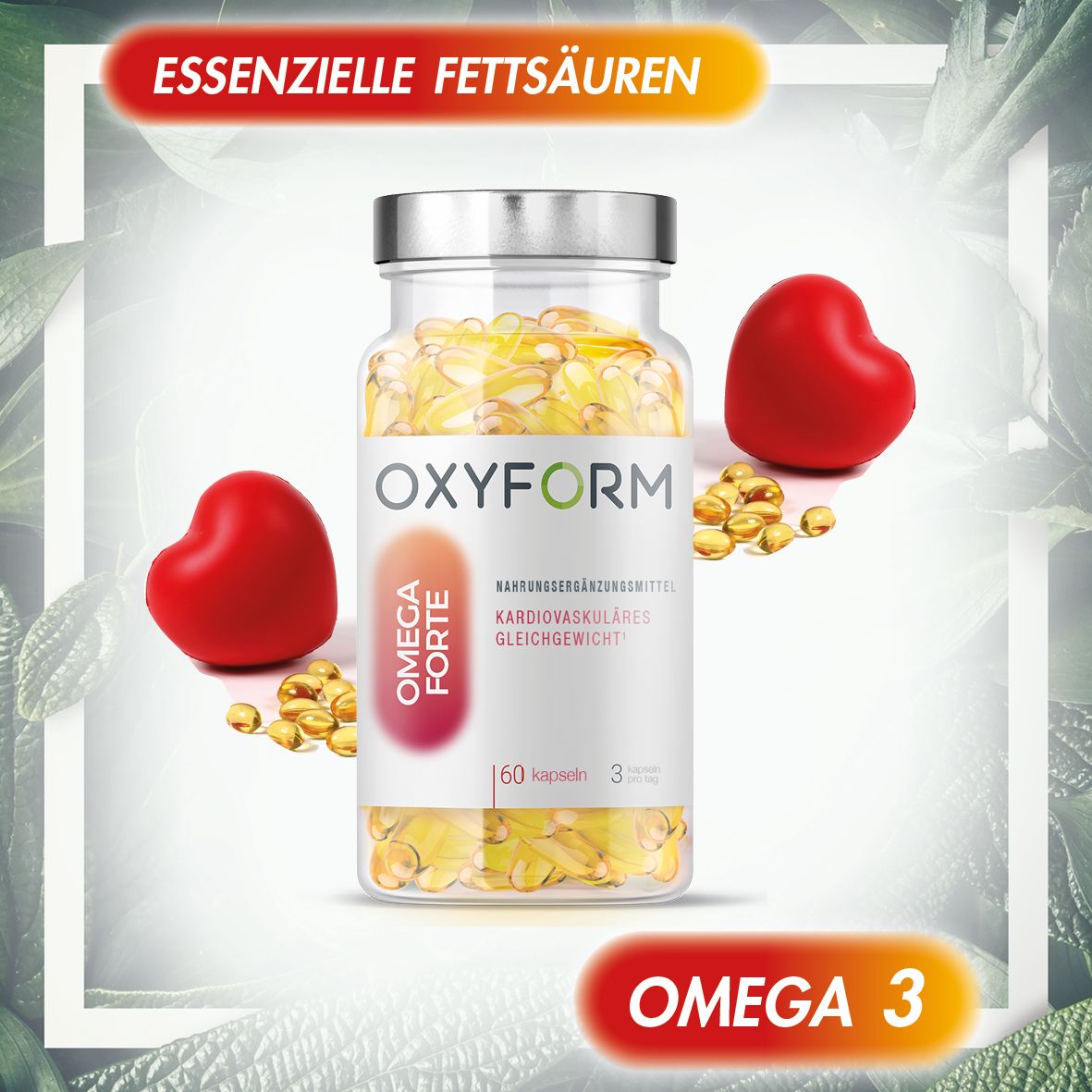 Oxyform Omega 3 Fischöl Gelkapseln 60 St Kapseln