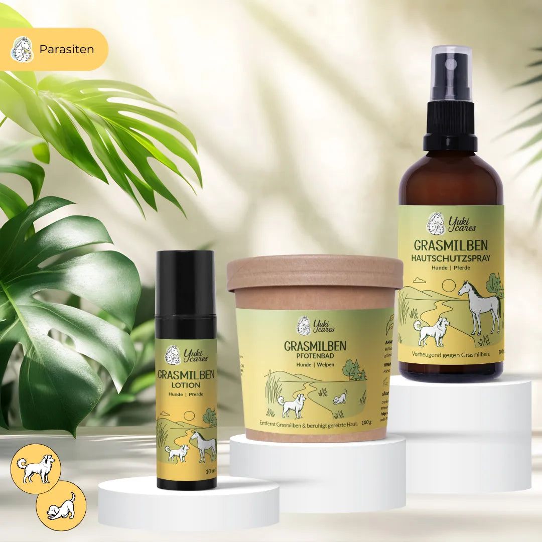 Drei Produkte: Pfotenbad, Lotion und Hautschutzspray. Auf Podesten platziert. Etiketten mit Text und Illustrationen. Grün-gelbes Design.