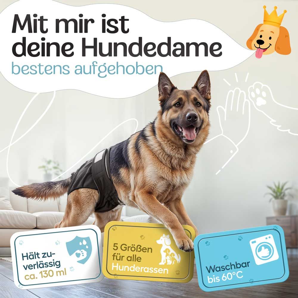 Ein Hund mit Windel. Schilder mit Text: Hält zuverl. ca. 130 ml, 5 Größen für alle Hunderassen, Waschbar bis 60°C.
