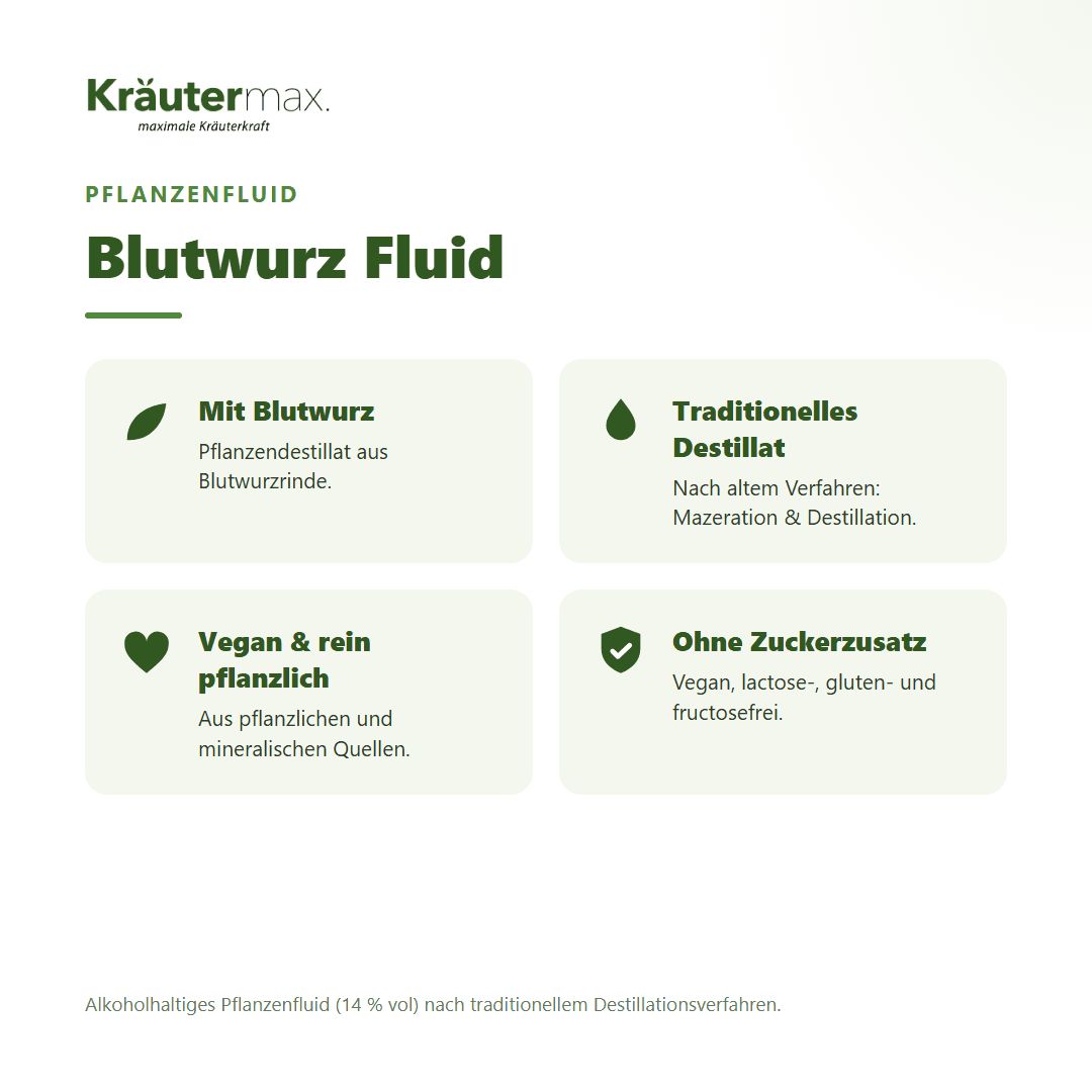Übersicht über Kräutermax Blutwurz Fluid. Vier Infoboxen mit Icons und Text.