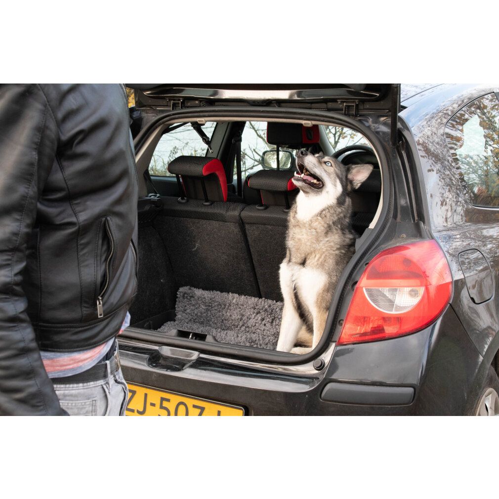 Ein Hund sitzt im Kofferraum eines Autos auf einer grauen Royal Dry Fußmatte. Eine Person steht daneben.