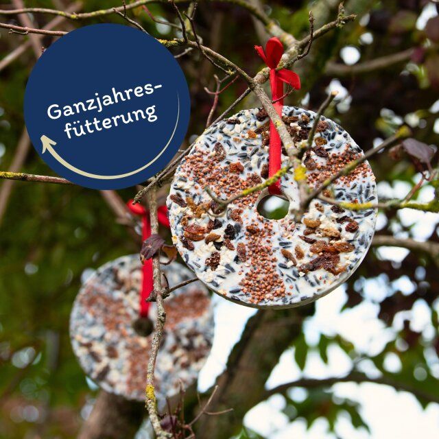 Zwei Vogelfuttertaler an Ästen. Rote Schleifen. Beschriftung: Ganzjahresfütterung.