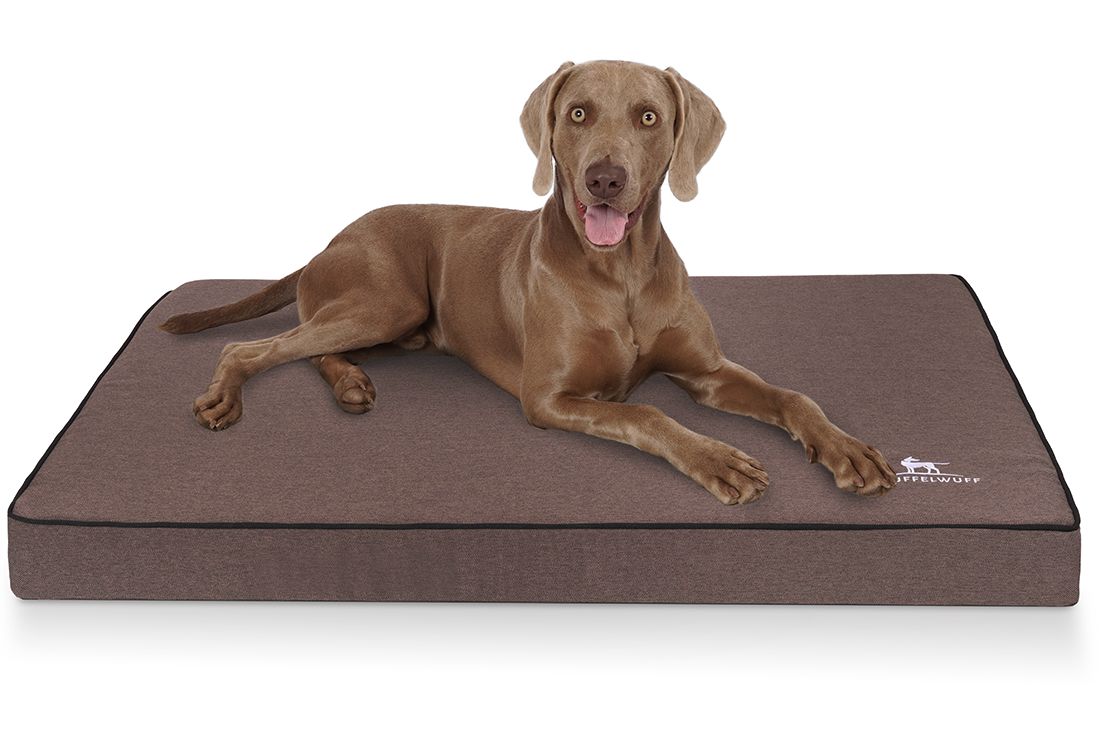 Hund liegt auf brauner, rechteckiger orthopädischer Hundematte mit schwarzem Rand. Logo "Knuffelwuff" sichtbar.