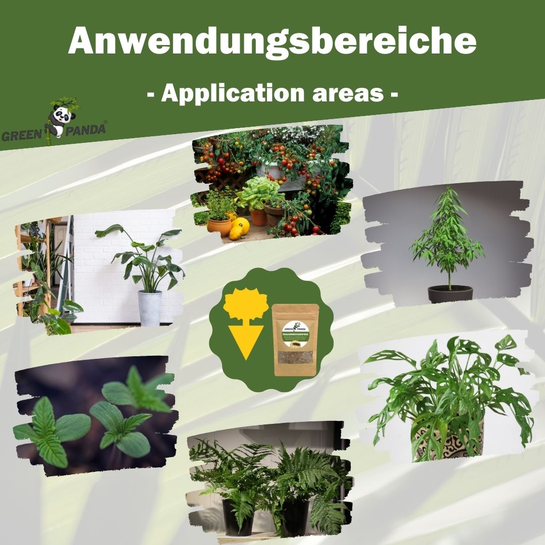 Anwendungsbereiche: Fotos von Pflanzen in verschiedenen Umgebungen. Green Panda Logo.