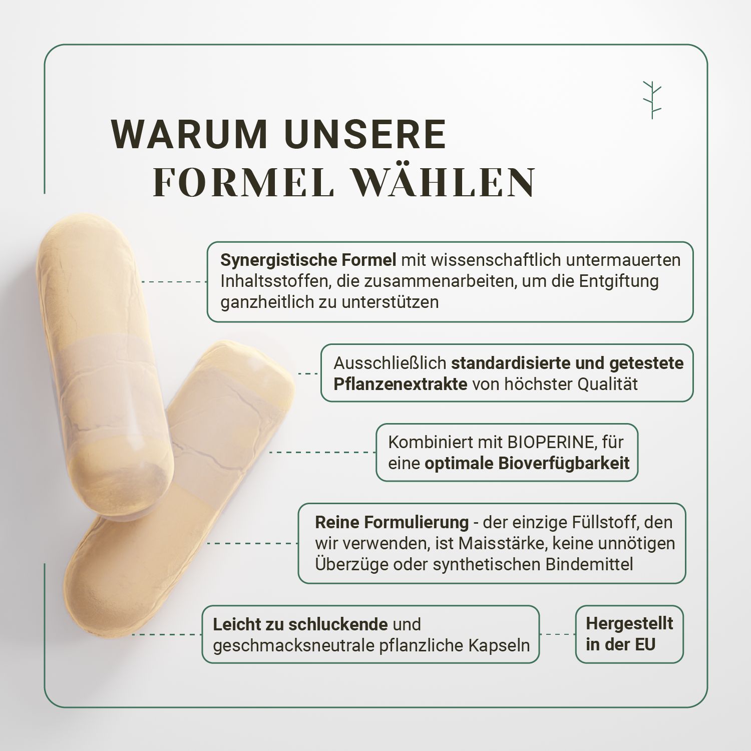 Zwei beige Kapseln. Aufschrift: Hergestellt in der EU. Text: Warum unsere Formel wählen. Pflanzliche Kapseln.