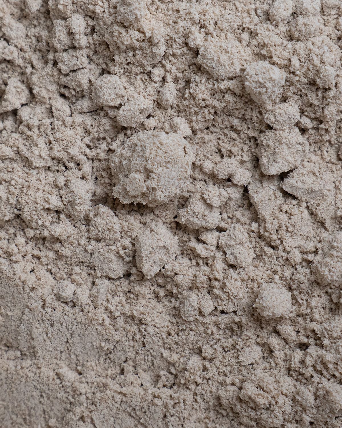 Nahaufnahme der Textur von Sonnenblumenprotein Pulver mit Klumpen.