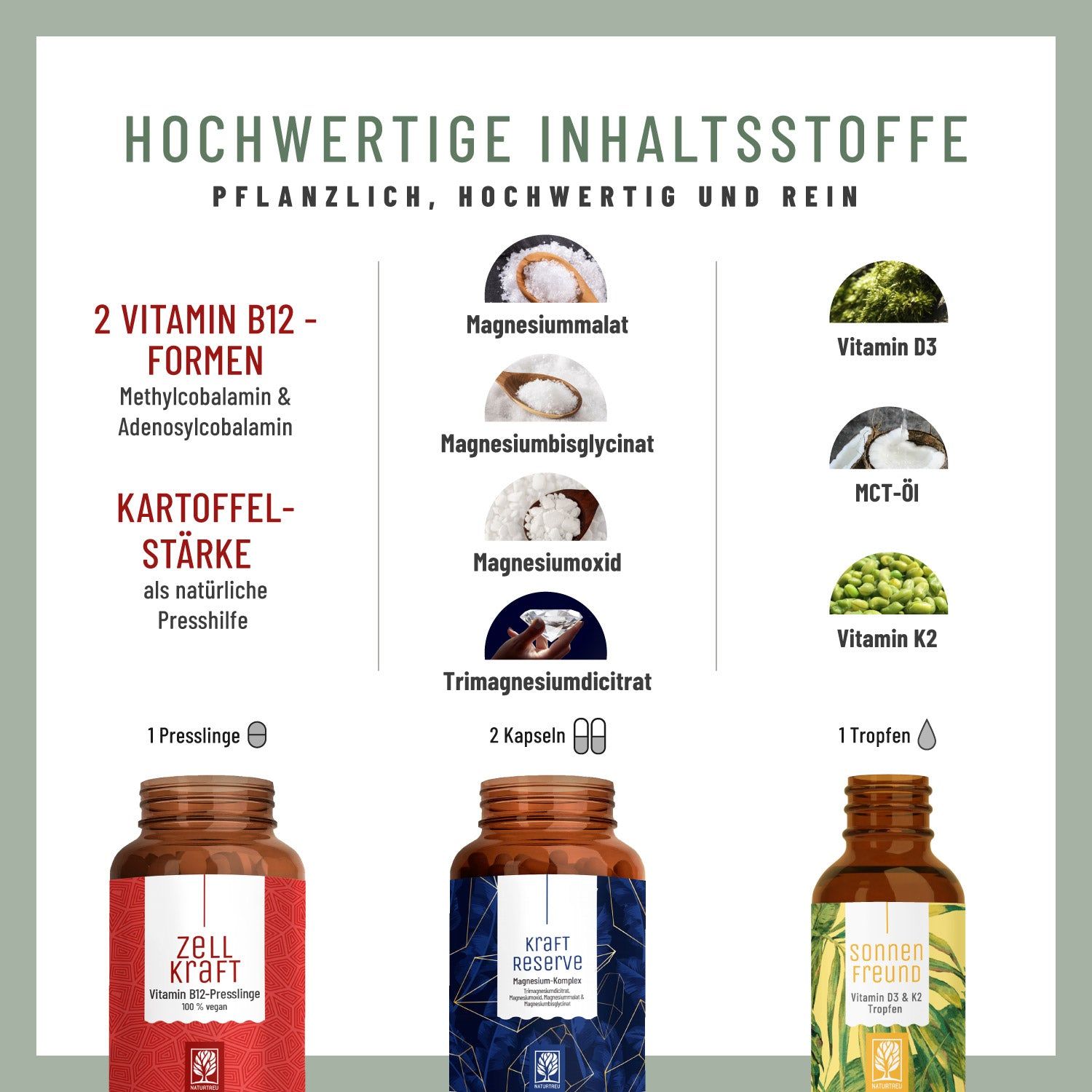 Infografik mit Inhaltsstoffen. Magnesiummalat, Magnesiumglycinat, Magnesiumoxid, Trimagnesiumdicitrat, Vitamin D3, K2.