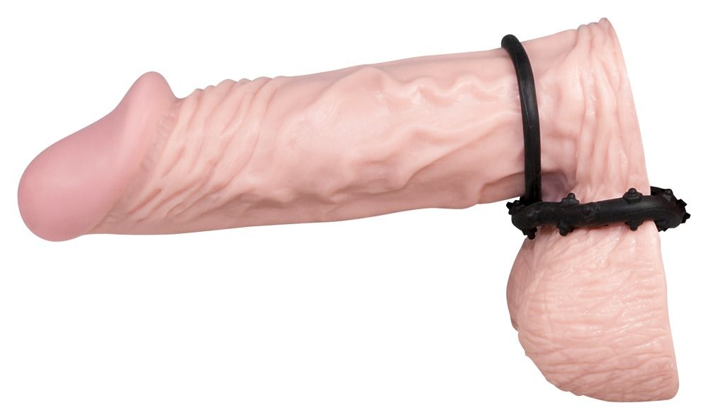 Penismodell mit angebrachtem Penisring und Hodenring. Der Ring ist schwarz und hat Noppen.