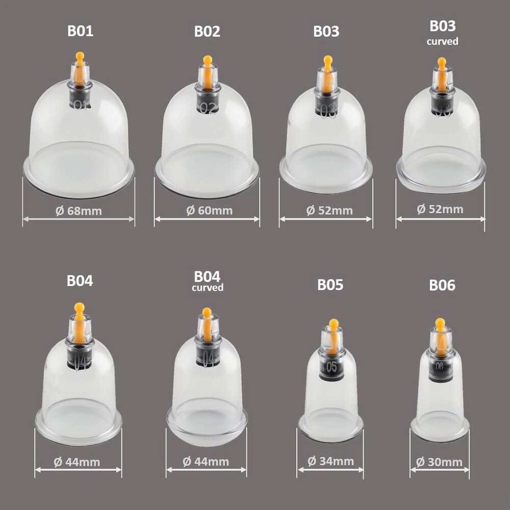 Größenübersicht der Hoopomania Schröpfgläser: B01 (68mm) bis B06 (30mm).