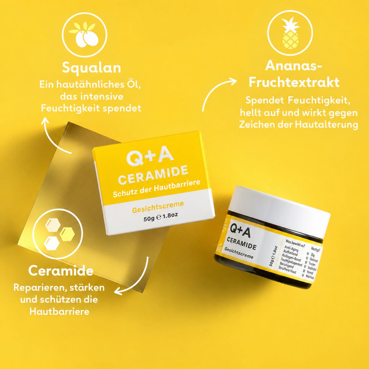 Q+A Ceramid-Gesichtscreme Angebot