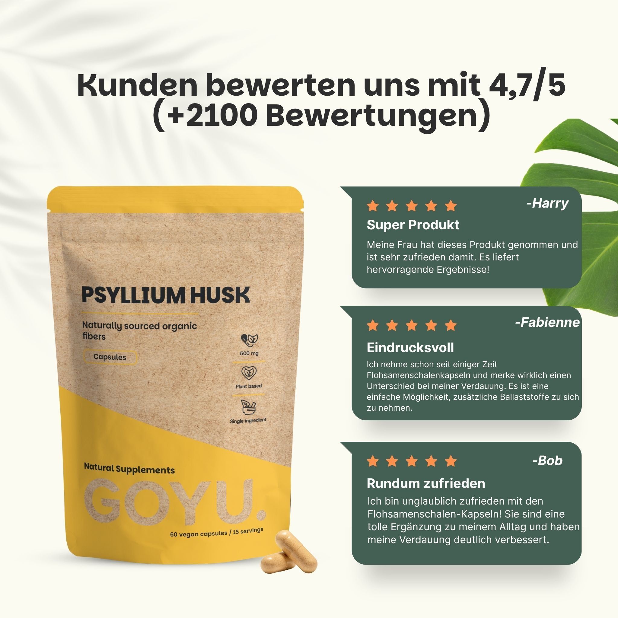 Packung Psyllium Husk Kapseln, 500 mg, biologisch, mit Informationen zu Ballaststoffen.