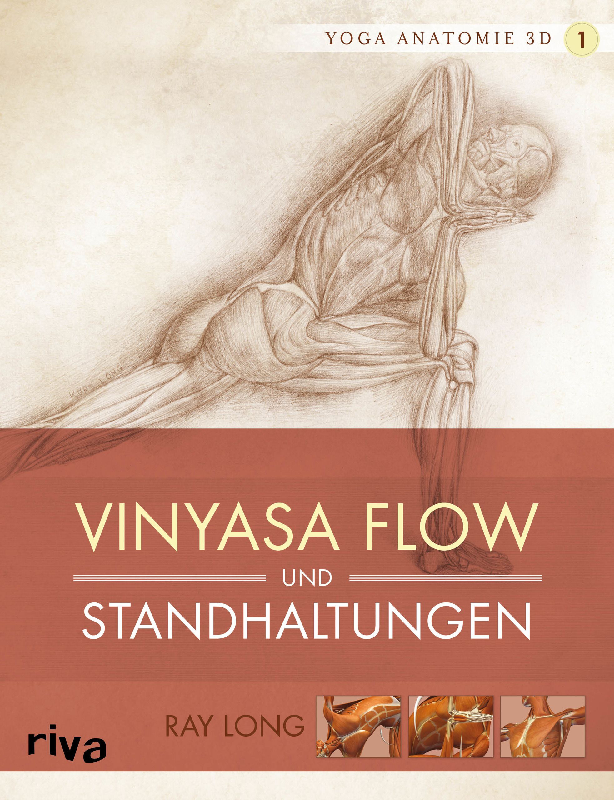 Buchcover mit anatomischer Zeichnung. Titel: Vinyasa Flow und Standhaltungen. Autor: Ray Long. Verlag: riva. Yoga Anatomie 3D.