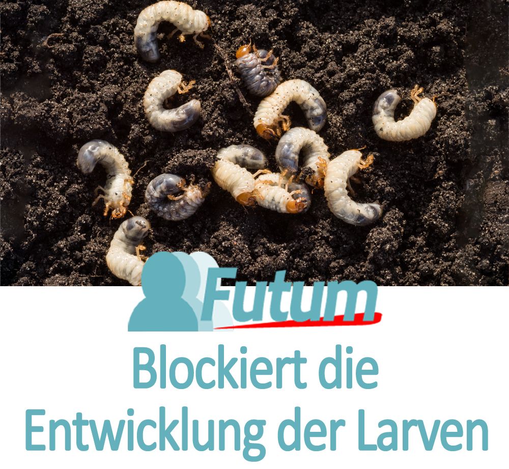 FUTUM Universal Insektenspray